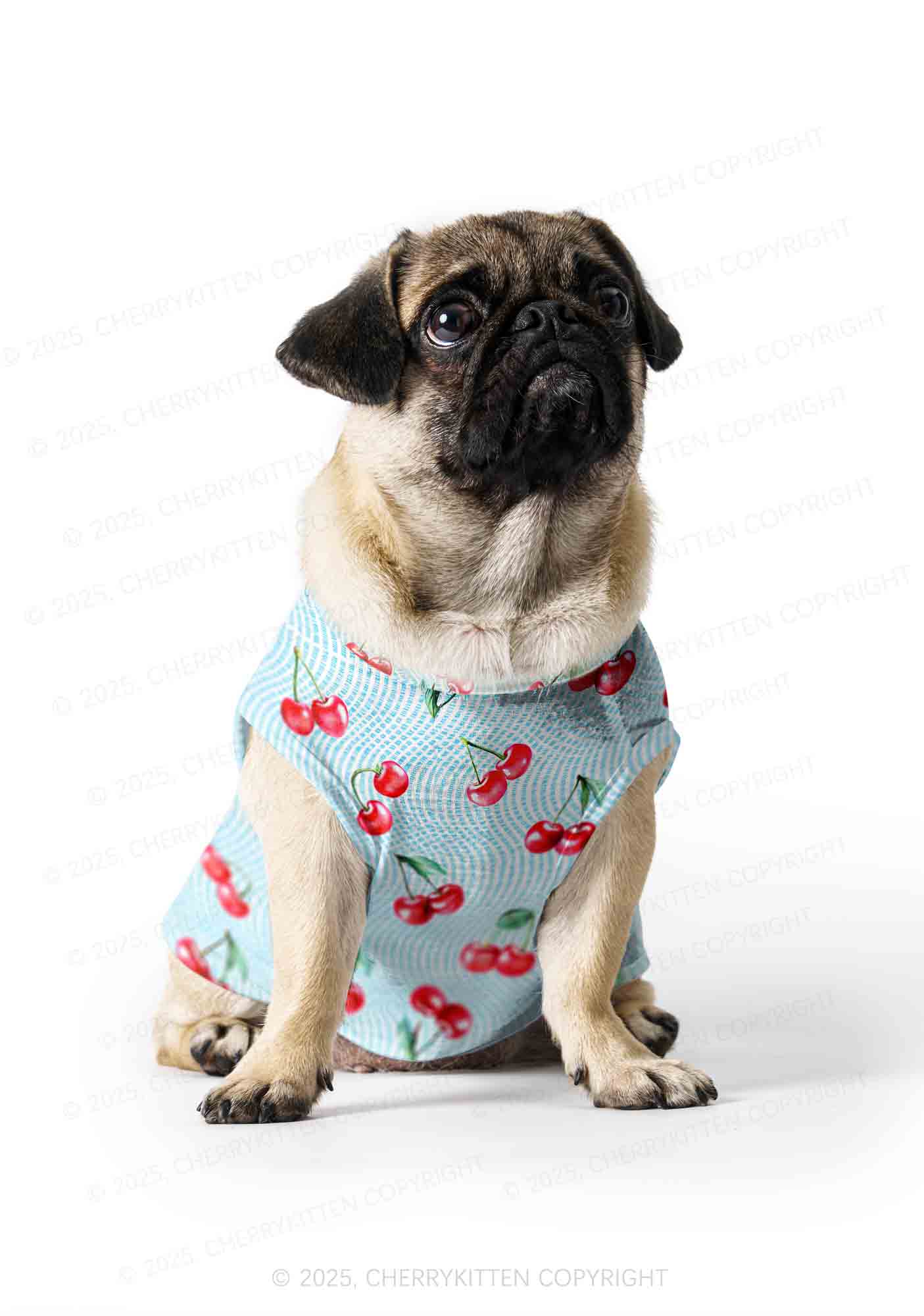 Blue Cherry Y2K Pet Tank Top Cherrykitten - Image 3