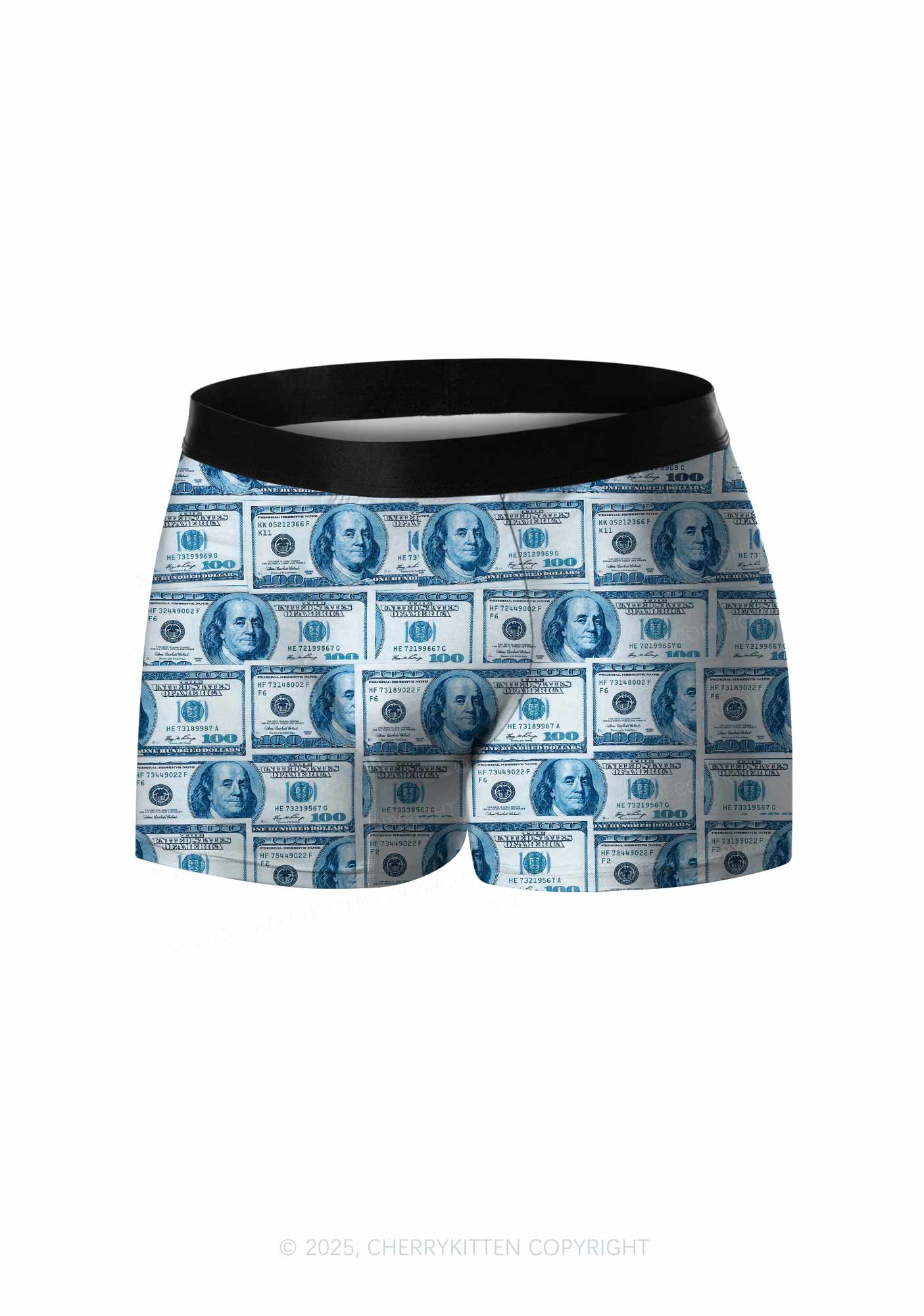 Blue Dollars Y2K Print Men Boxer Briefs Cherrykitten - Image 3