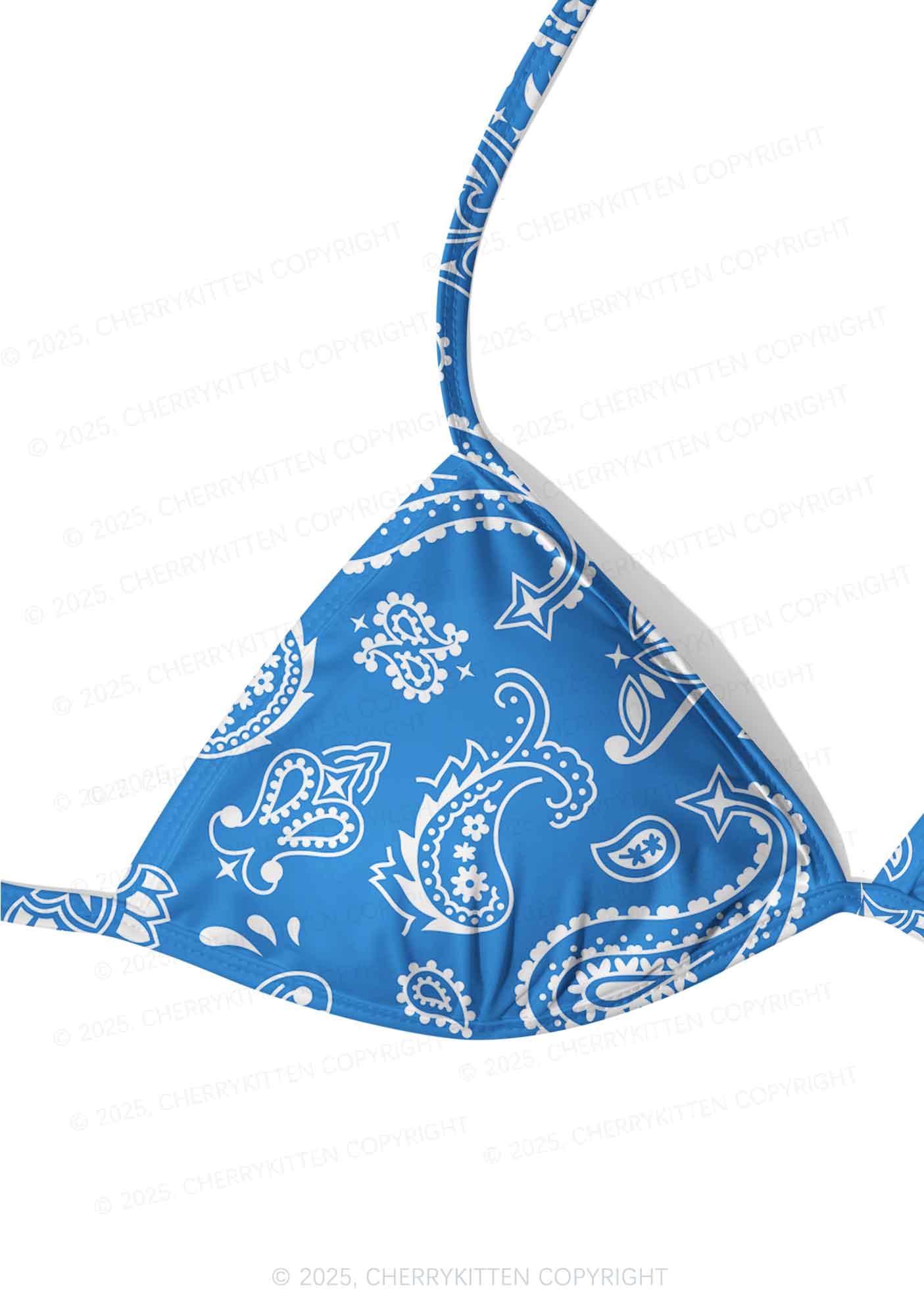 Blue Paisley Y2K Print Bikini Set Cherrykitten - Image 4