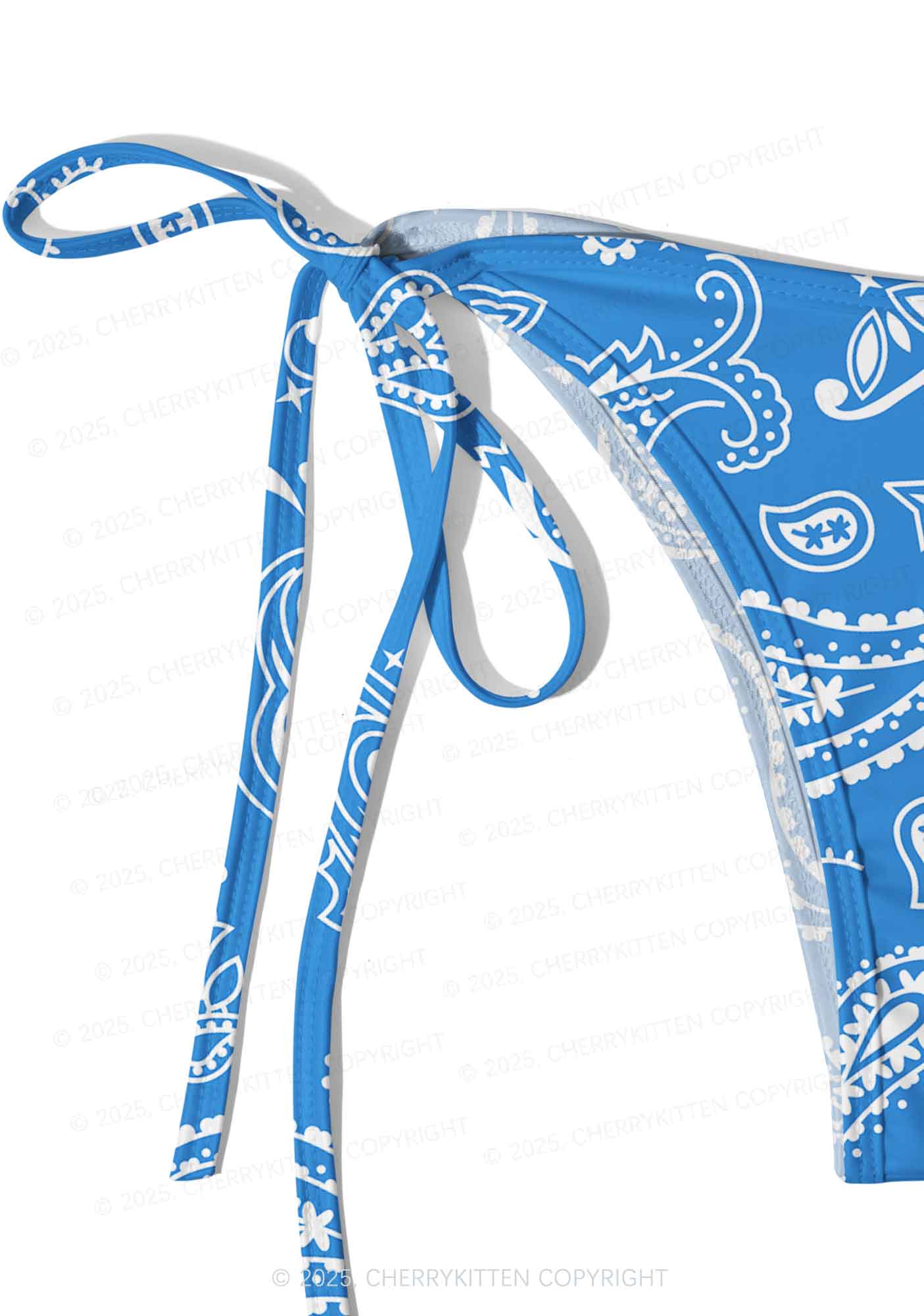Blue Paisley Y2K Print Bikini Set Cherrykitten - Image 5