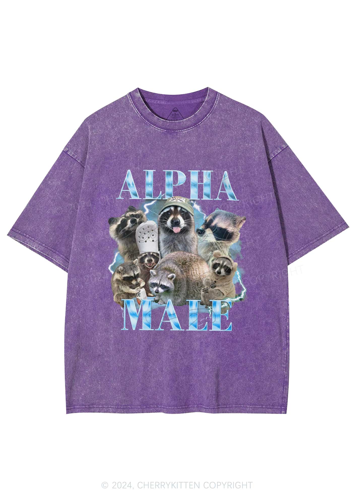 Blue Raccoons Alpha Male Y2K Washed Tee Cherrykitten - Image 3