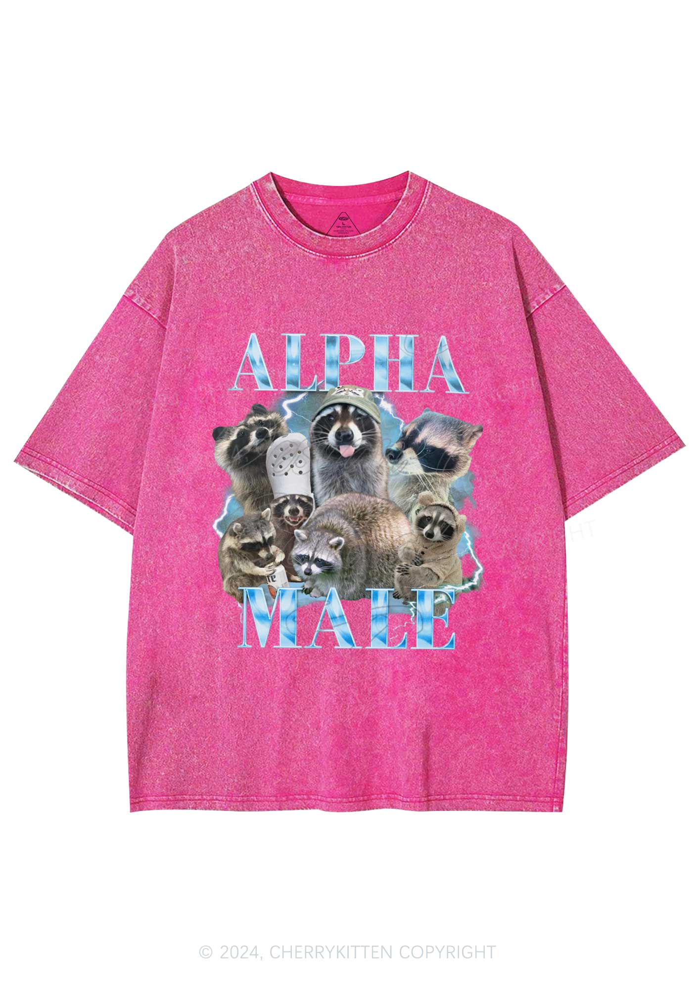 Blue Raccoons Alpha Male Y2K Washed Tee Cherrykitten - Image 4