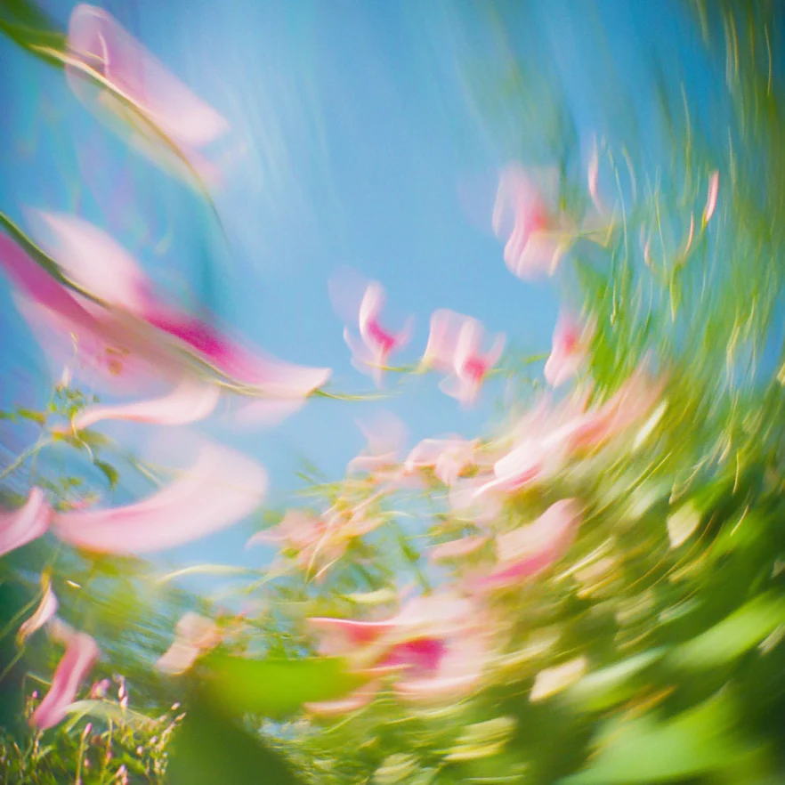 Blurred Blooms Y2K Mesh Crop Top Cherrykitten - Image 2