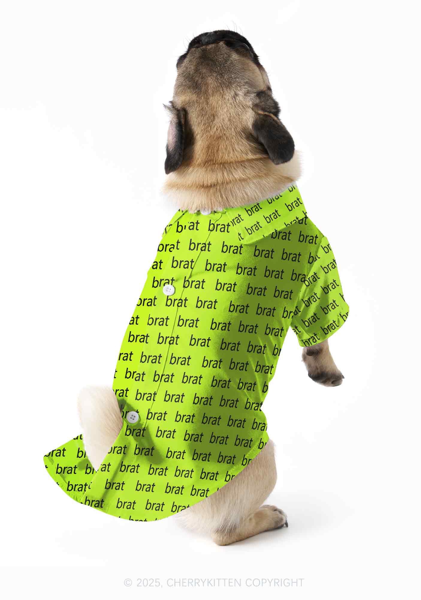 Brat Summer Y2K Pet Shirts Cherrykitten - Image 2