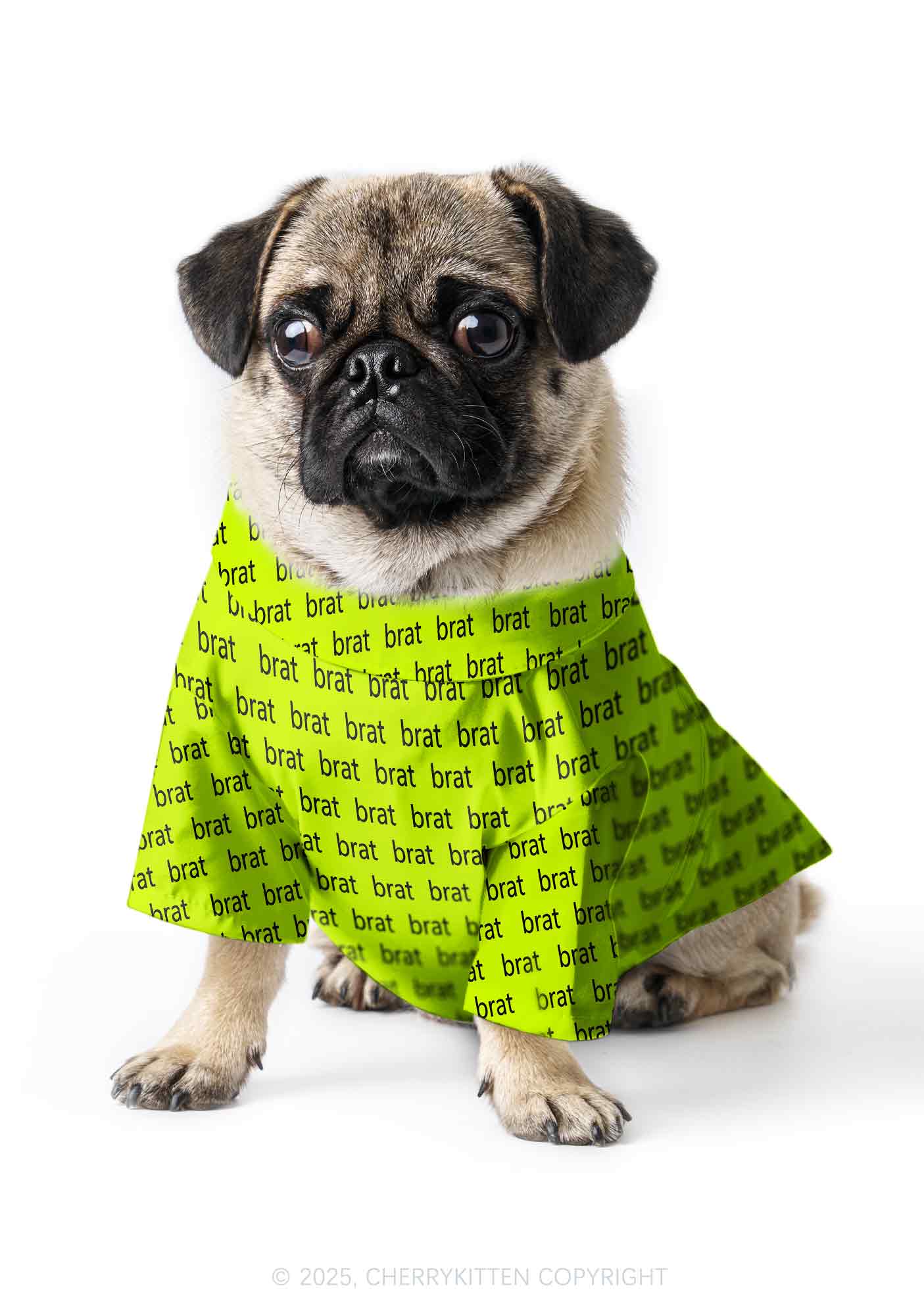 Brat Summer Y2K Pet Shirts Cherrykitten - Image 3