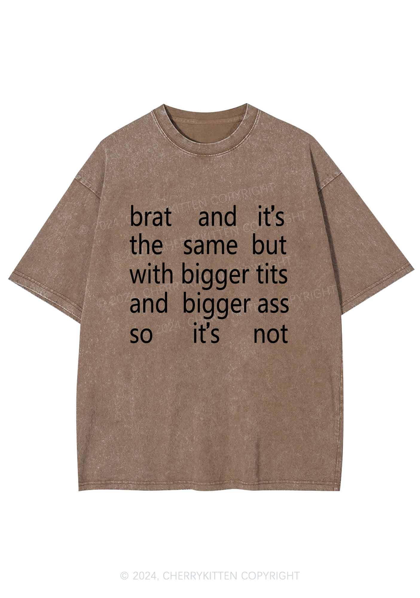 Brat The Same Y2K Washed Tee Cherrykitten - Image 7