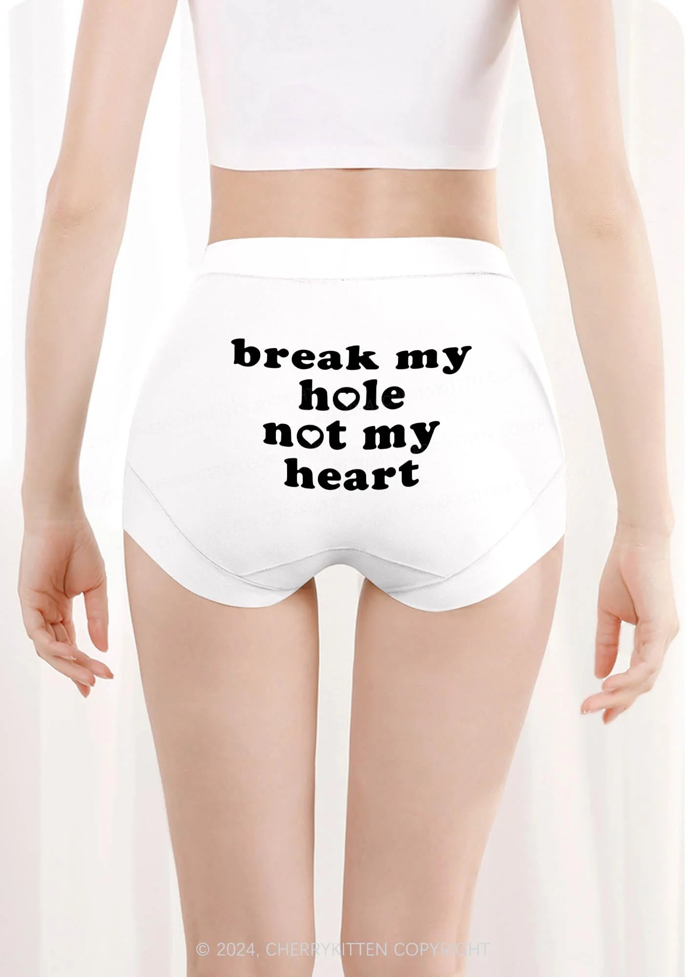 Break My Hole Y2K Mid Rise Waist Boyshort Cherrykitten - Image 3
