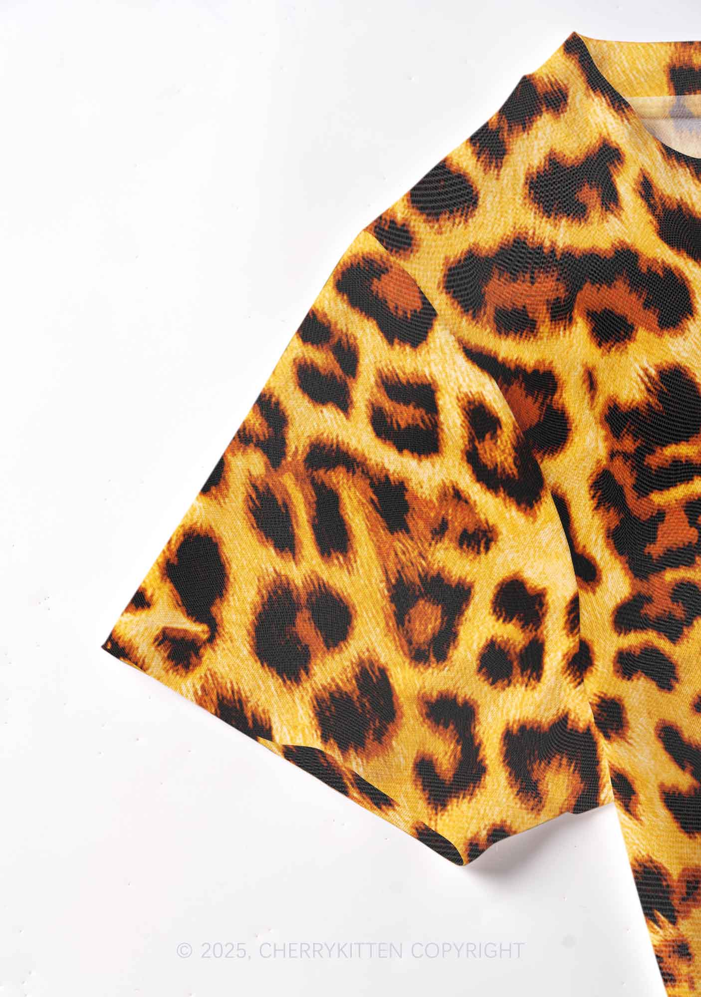 Brown Leopard Y2K Mesh Crop Top Cherrykitten - Image 3