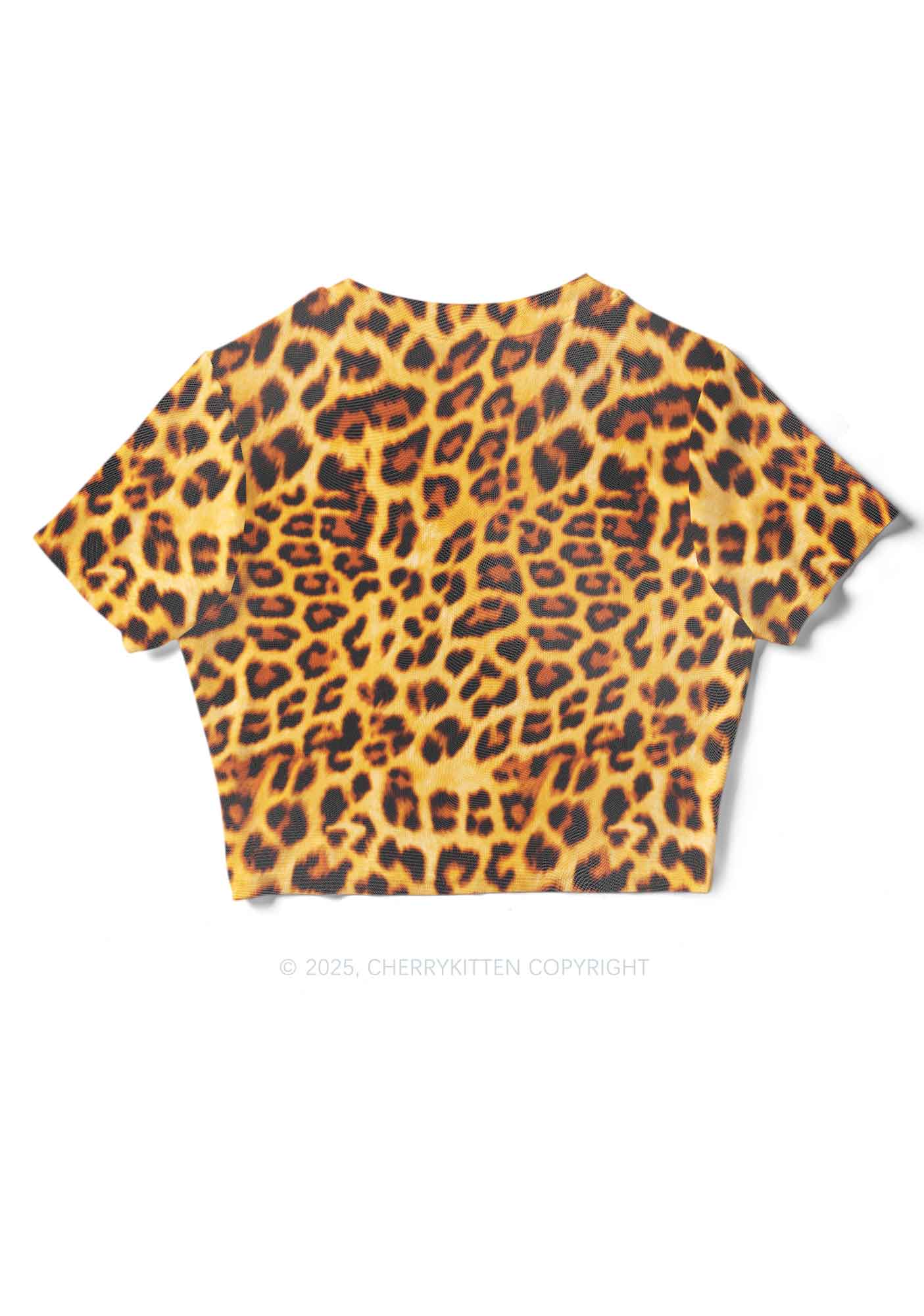 Brown Leopard Y2K Mesh Crop Top Cherrykitten - Image 4