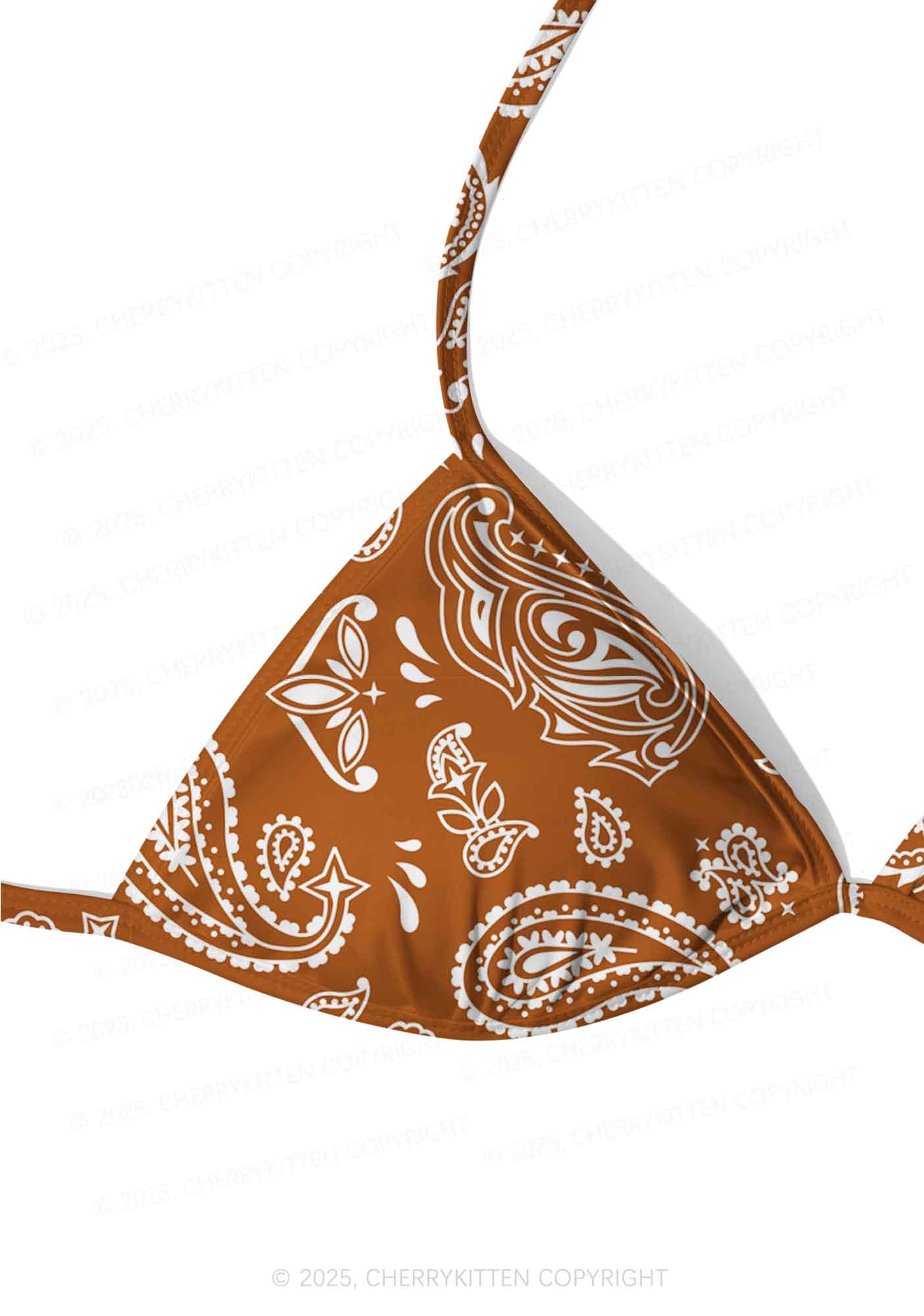 Brown Paisley Y2K Print Bikini Set Cherrykitten - Image 4