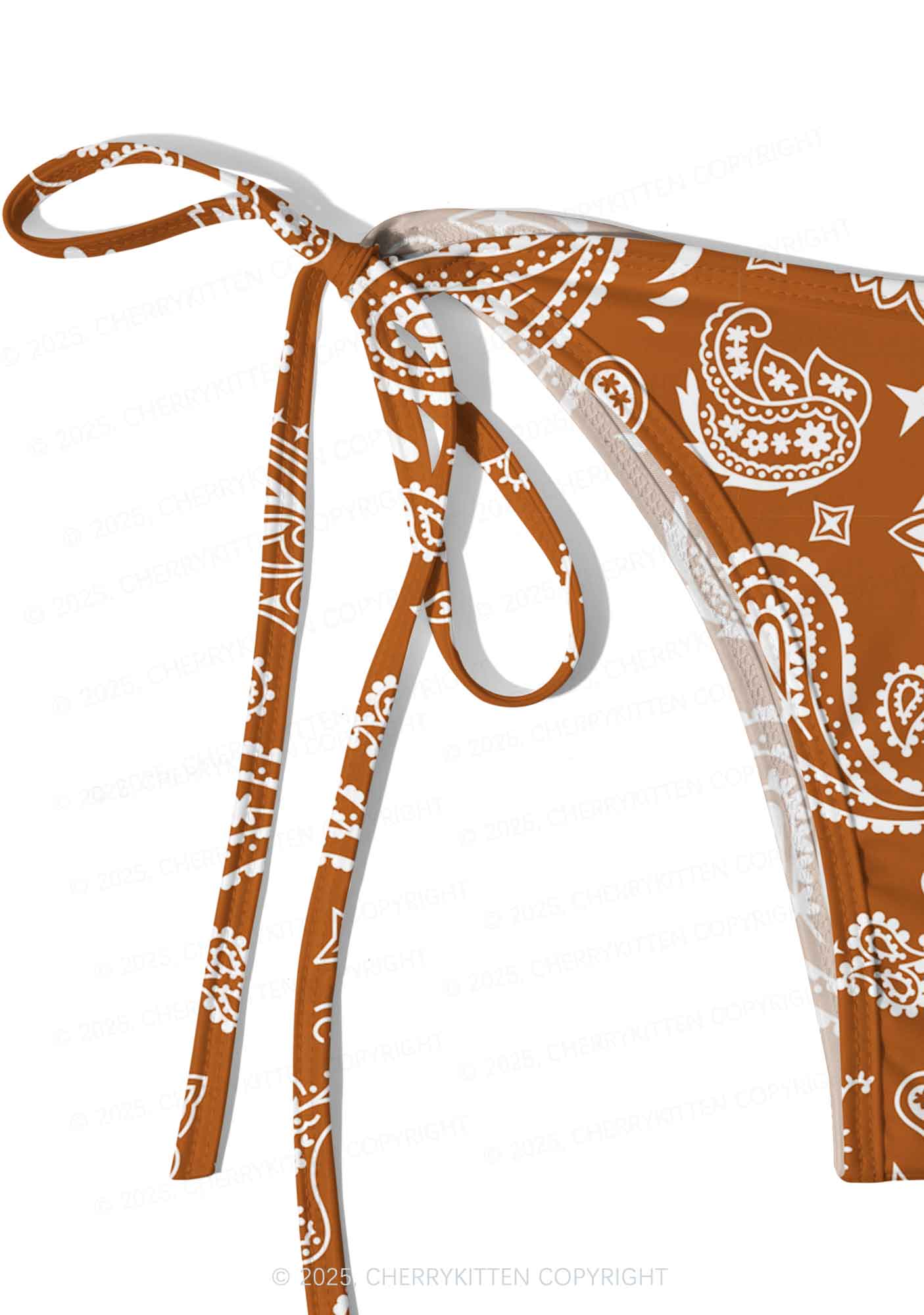 Brown Paisley Y2K Print Bikini Set Cherrykitten - Image 5