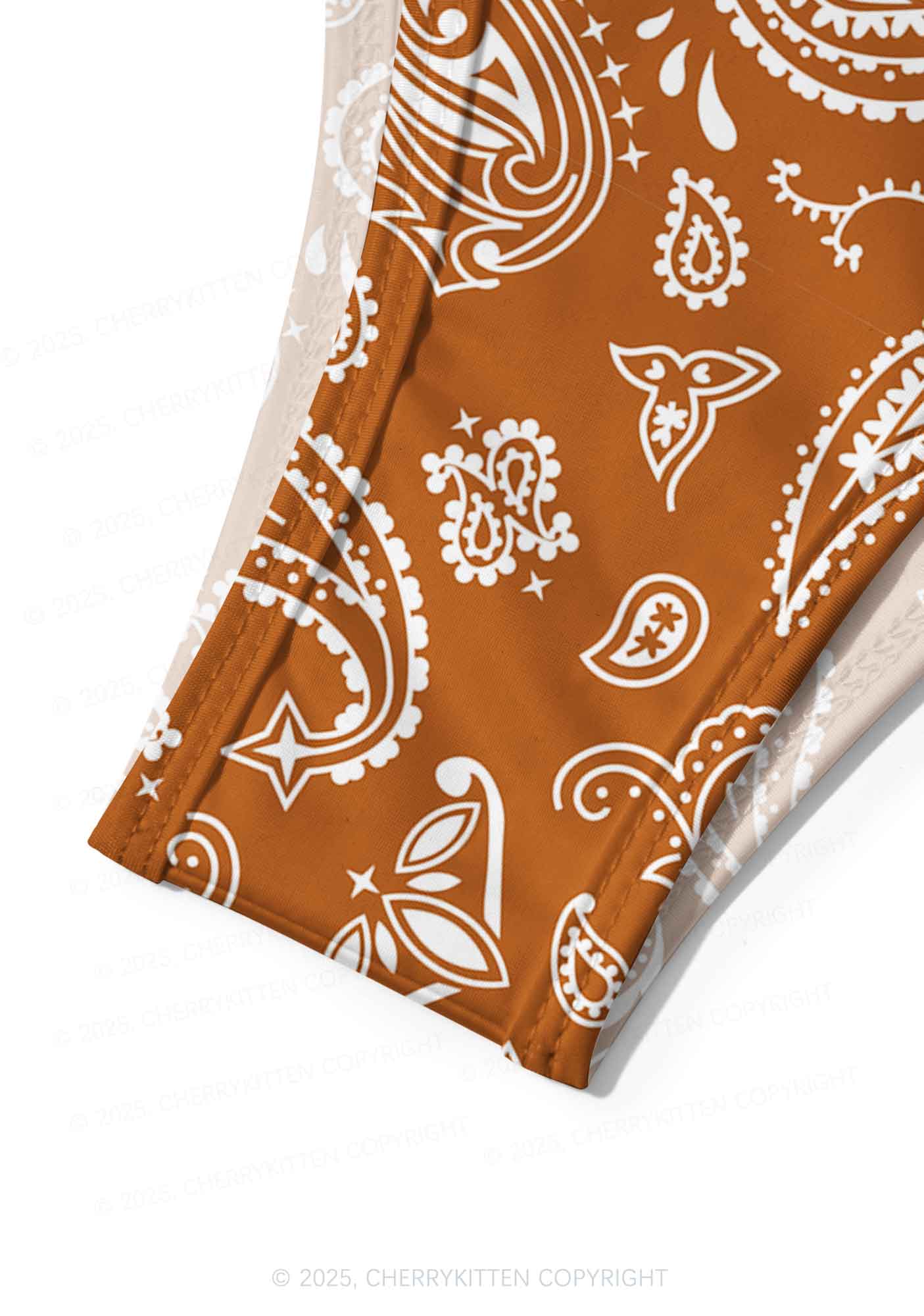 Brown Paisley Y2K Print Bikini Set Cherrykitten - Image 6