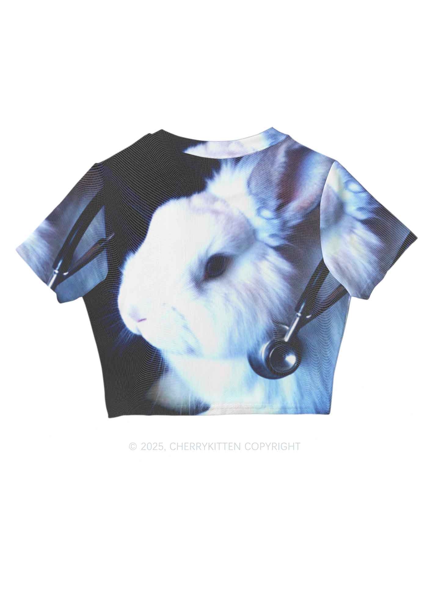 Bunny Doctor Y2K Mesh Crop Top Cherrykitten - Image 5