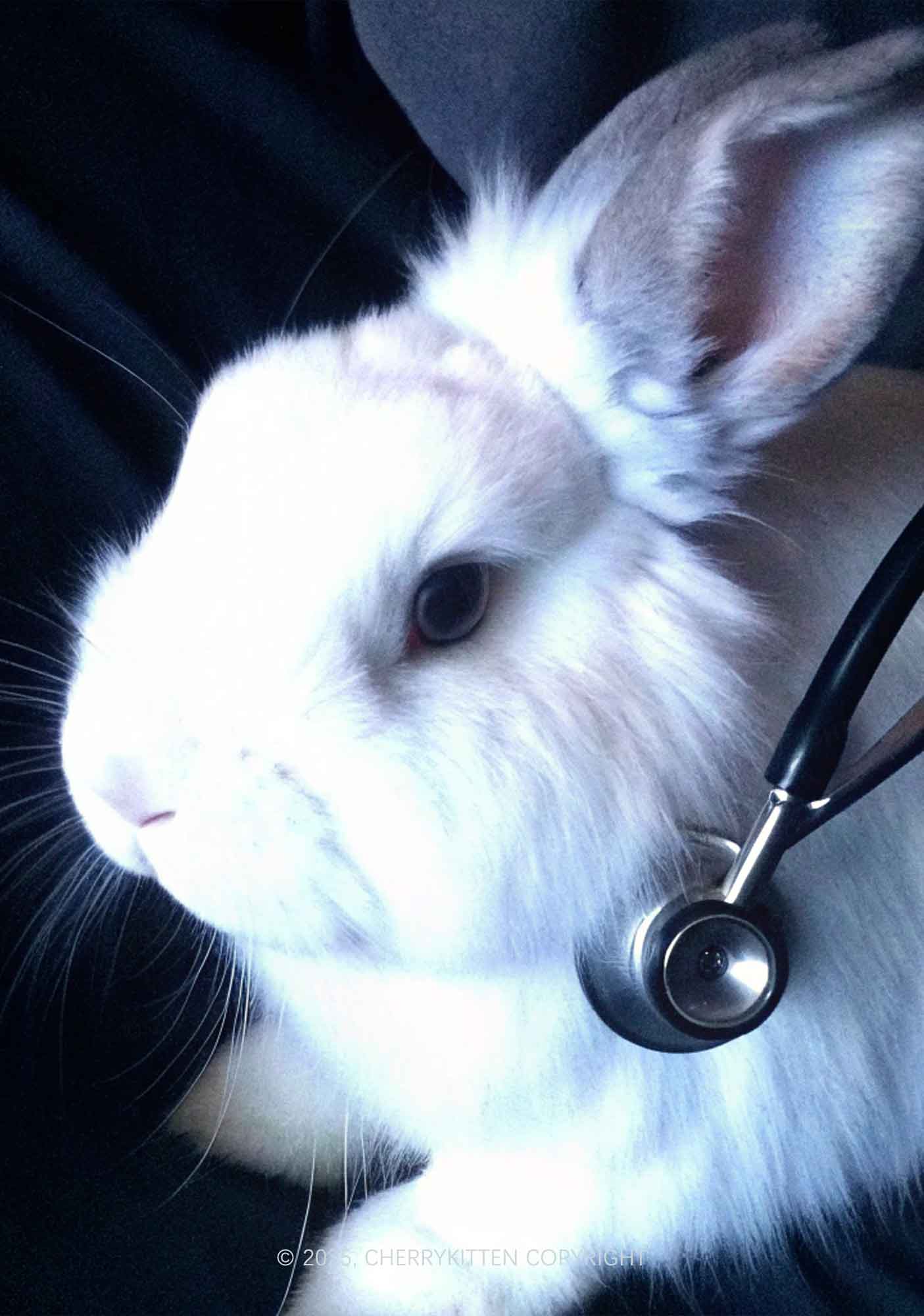 Bunny Doctor Y2K Mesh Muscle Tank Cherrykitten - Image 2