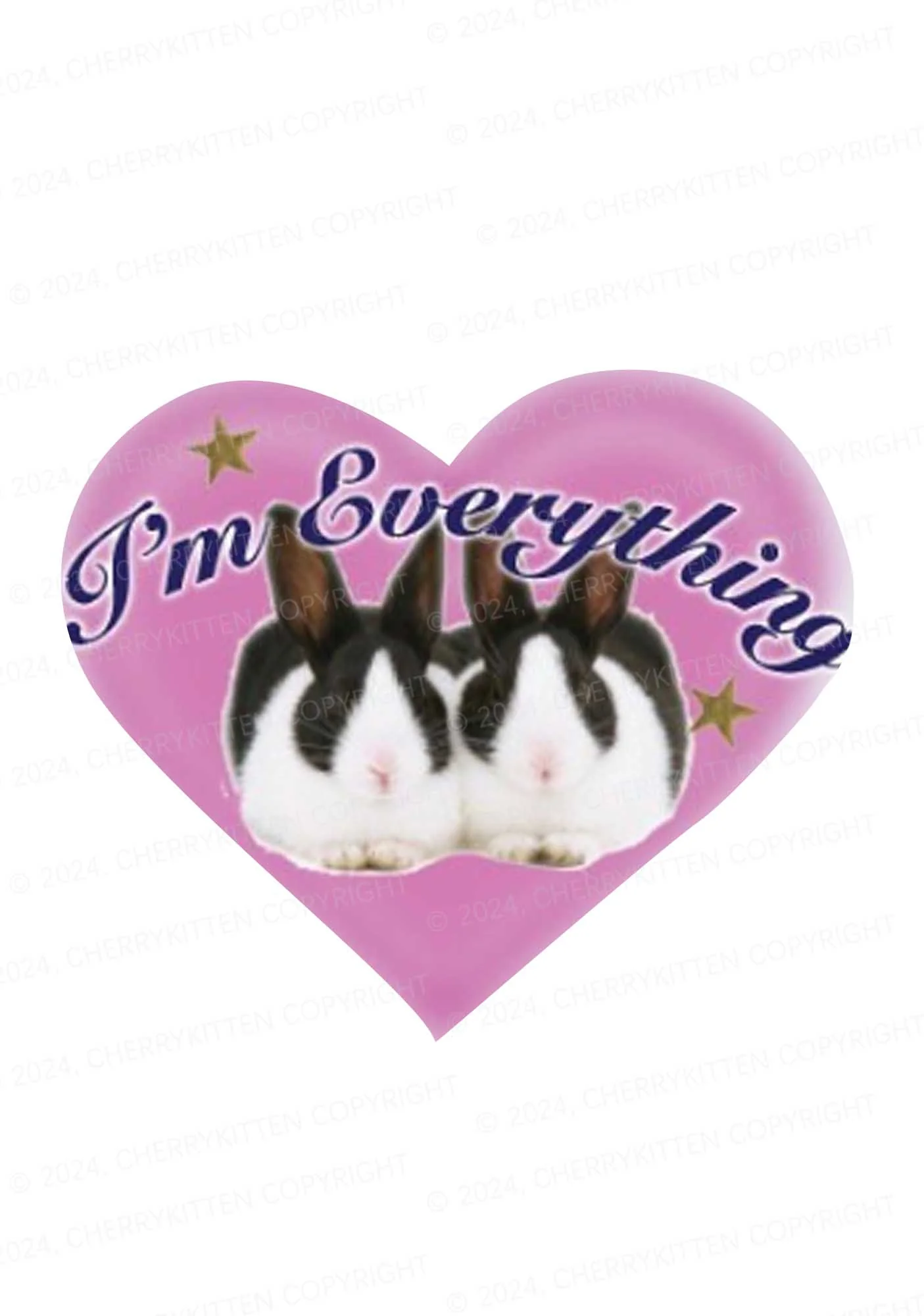 Bunny I'm Everything Y2K Mid Rise Waist Boyshort Cherrykitten - Image 3