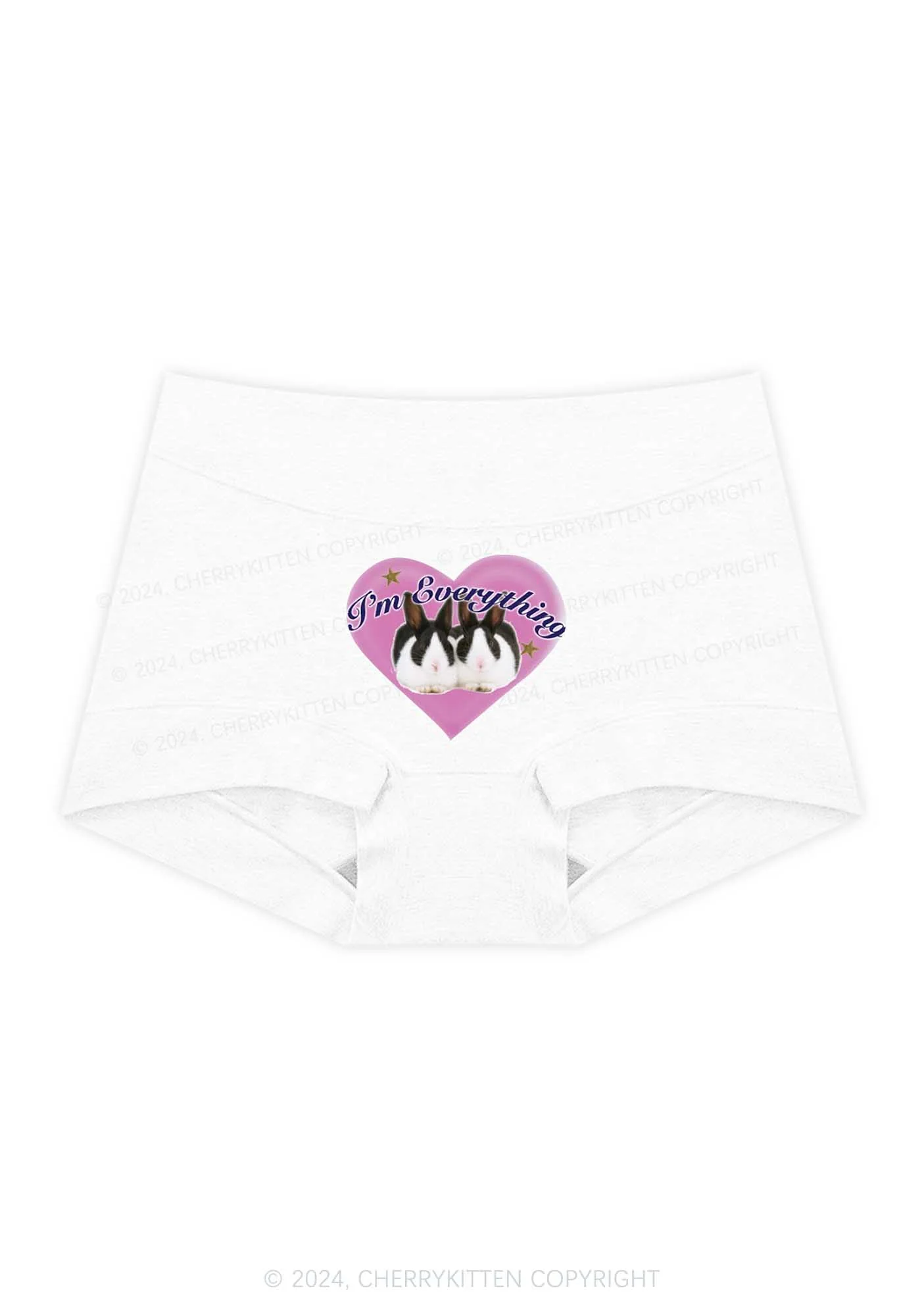 Bunny I'm Everything Y2K Mid Rise Waist Boyshort Cherrykitten - Image 4
