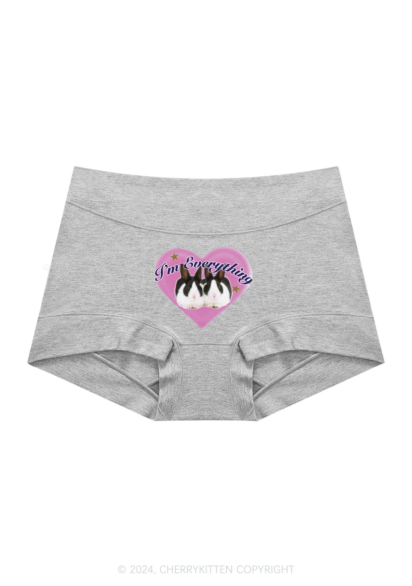 Bunny I'm Everything Y2K Mid Rise Waist Boyshort Cherrykitten - Image 5