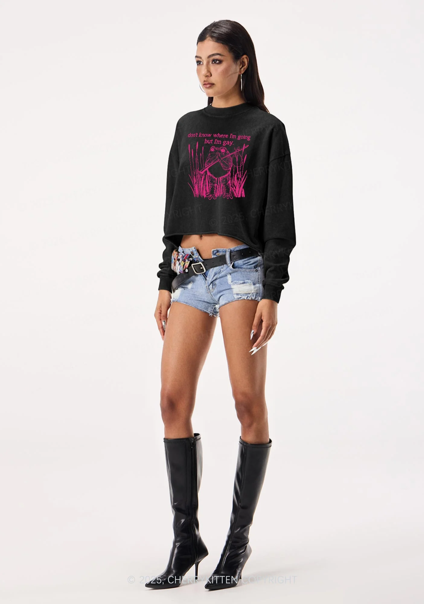 But I Am Gay Frog Pride Y2K Crop Washed Sweatshirts Cherrykitten - Image 2