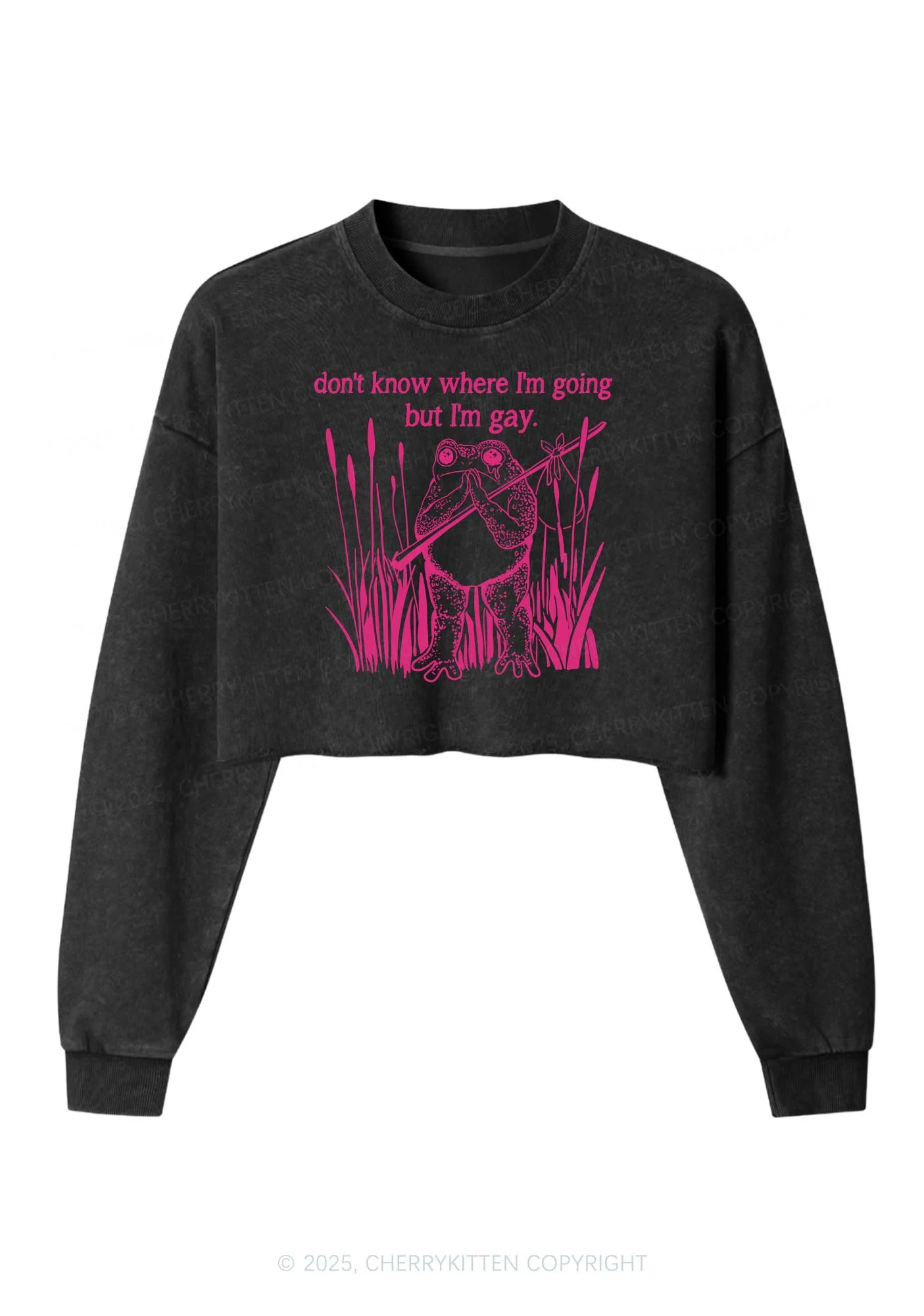 But I Am Gay Frog Pride Y2K Crop Washed Sweatshirts Cherrykitten - Image 3