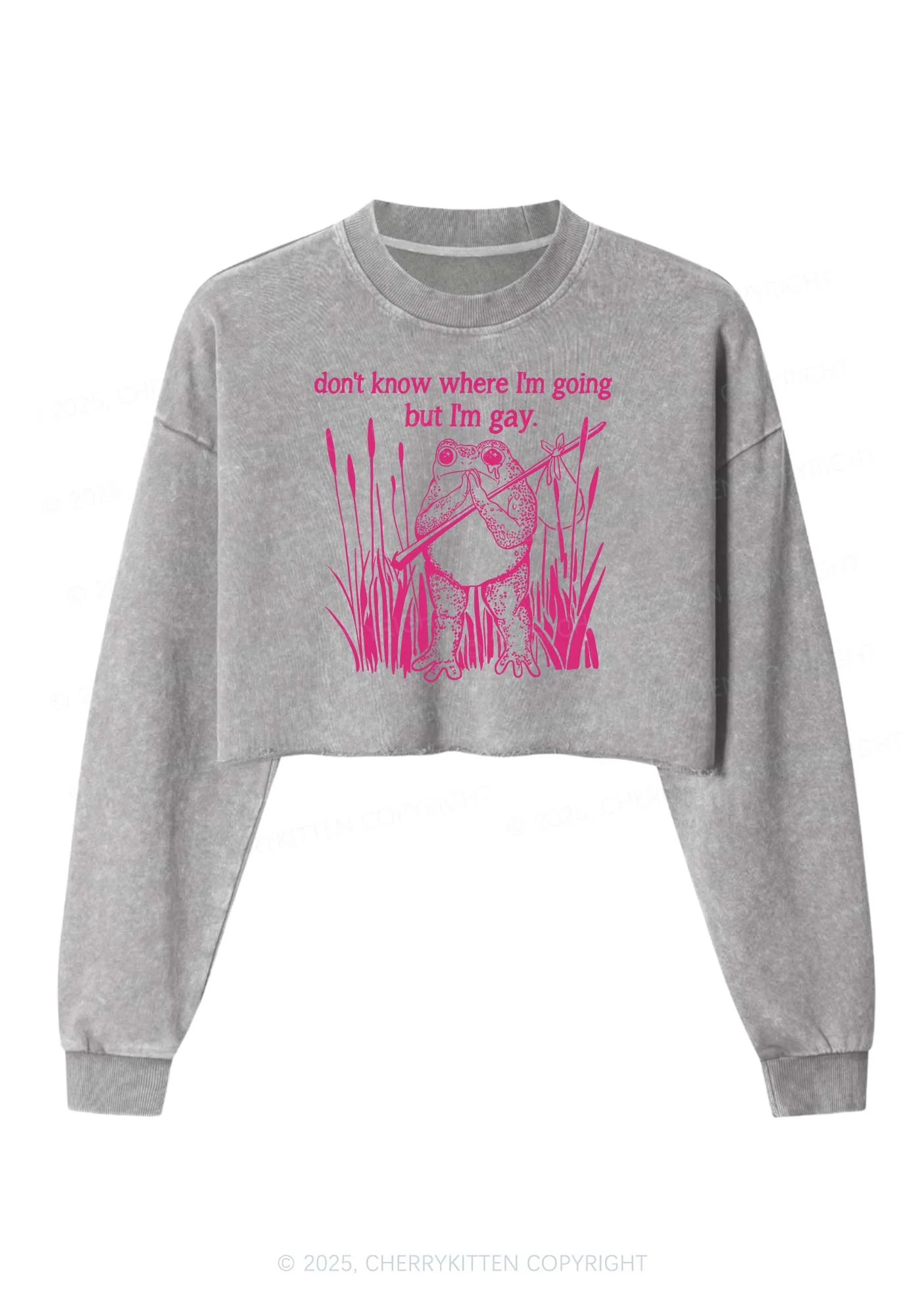But I Am Gay Frog Pride Y2K Crop Washed Sweatshirts Cherrykitten - Image 4