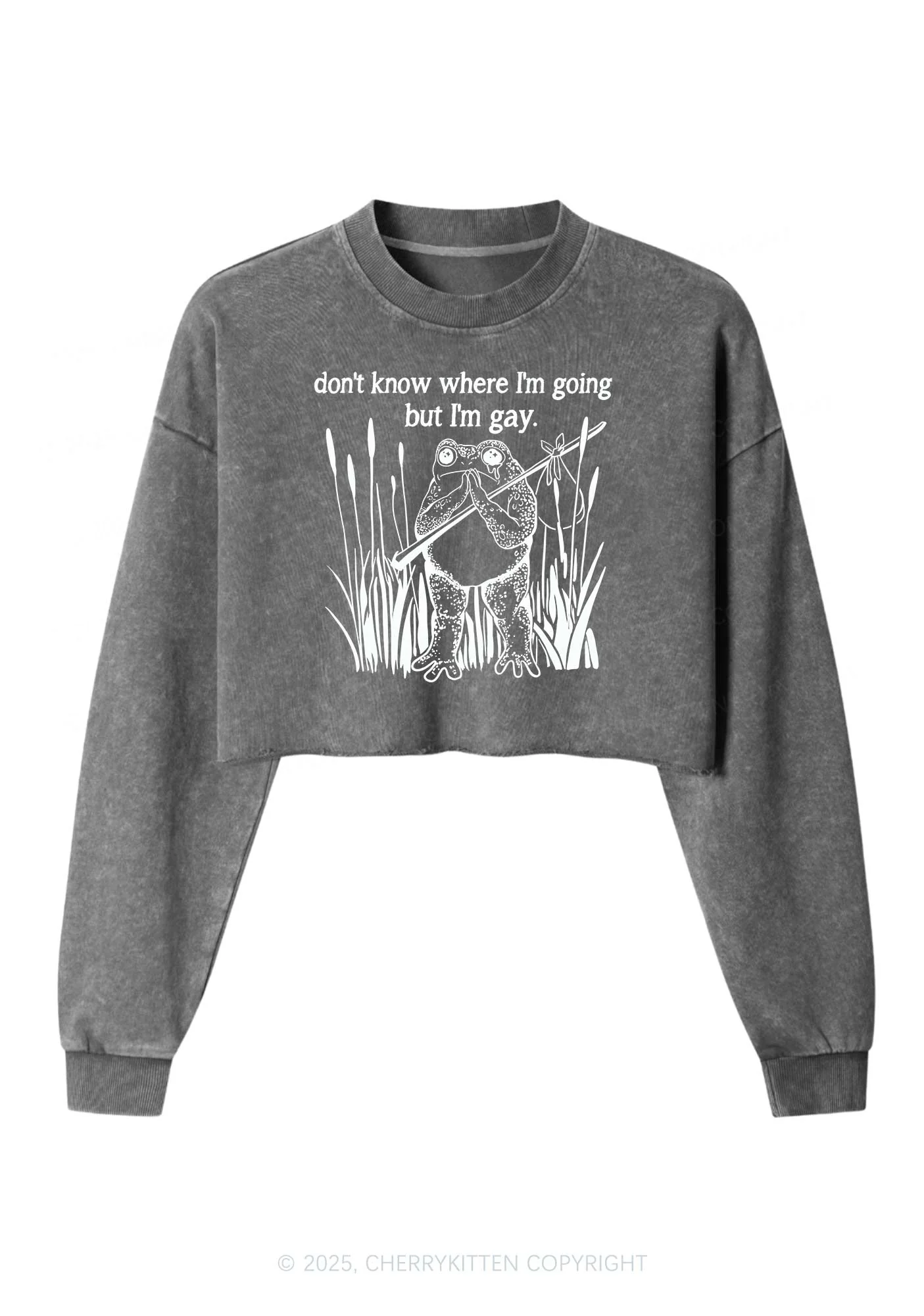 But I Am Gay Frog Pride Y2K Crop Washed Sweatshirts Cherrykitten - Image 5