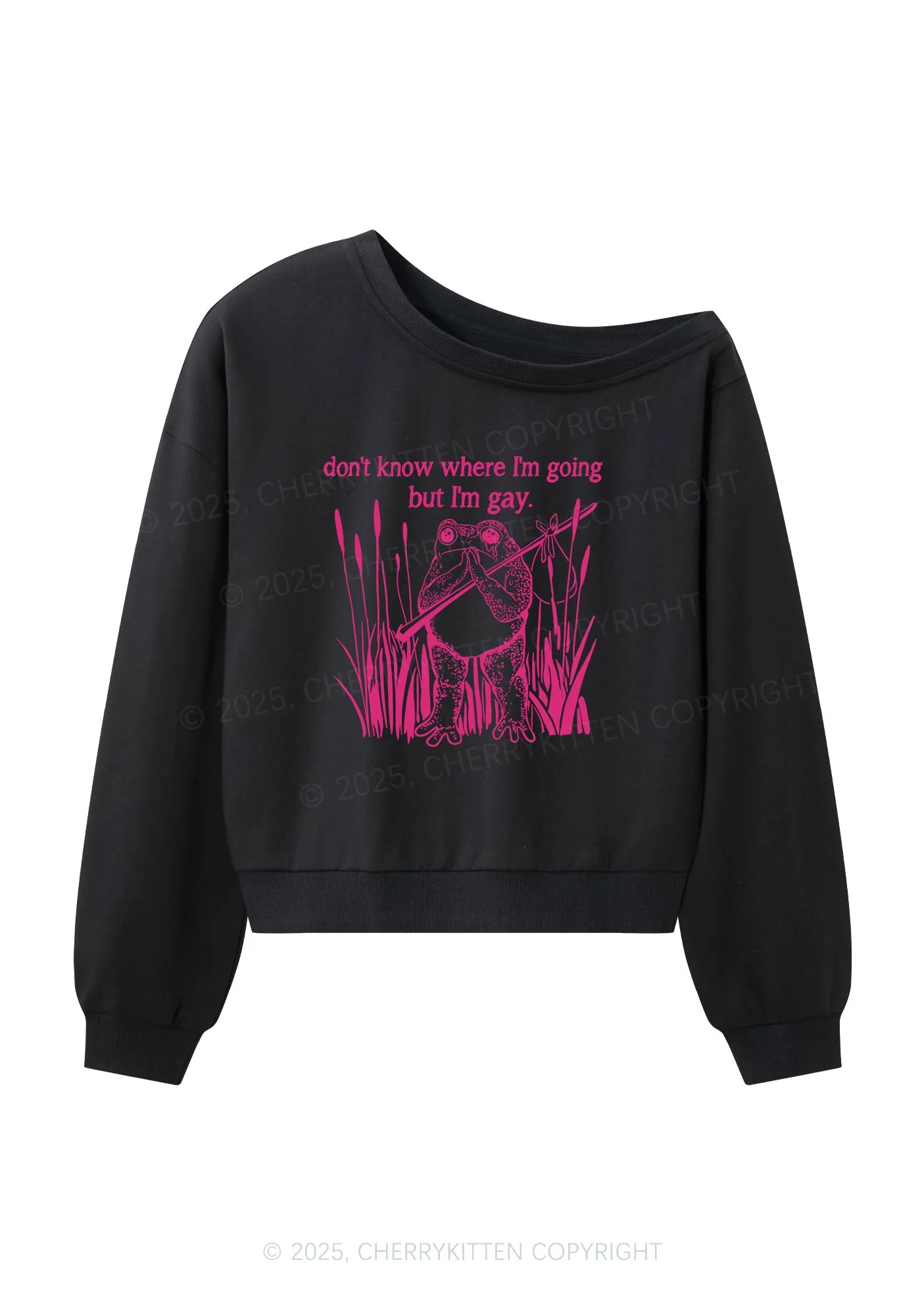 But I Am Gay Frog Pride Y2K Off Shoulder Sweatshirts Cherrykitten - Image 3