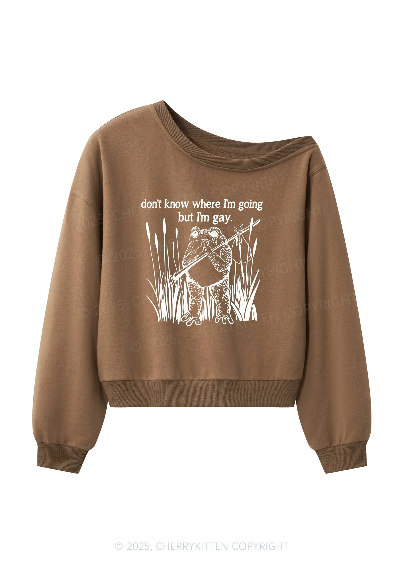 But I Am Gay Frog Pride Y2K Off Shoulder Sweatshirts Cherrykitten - Image 4