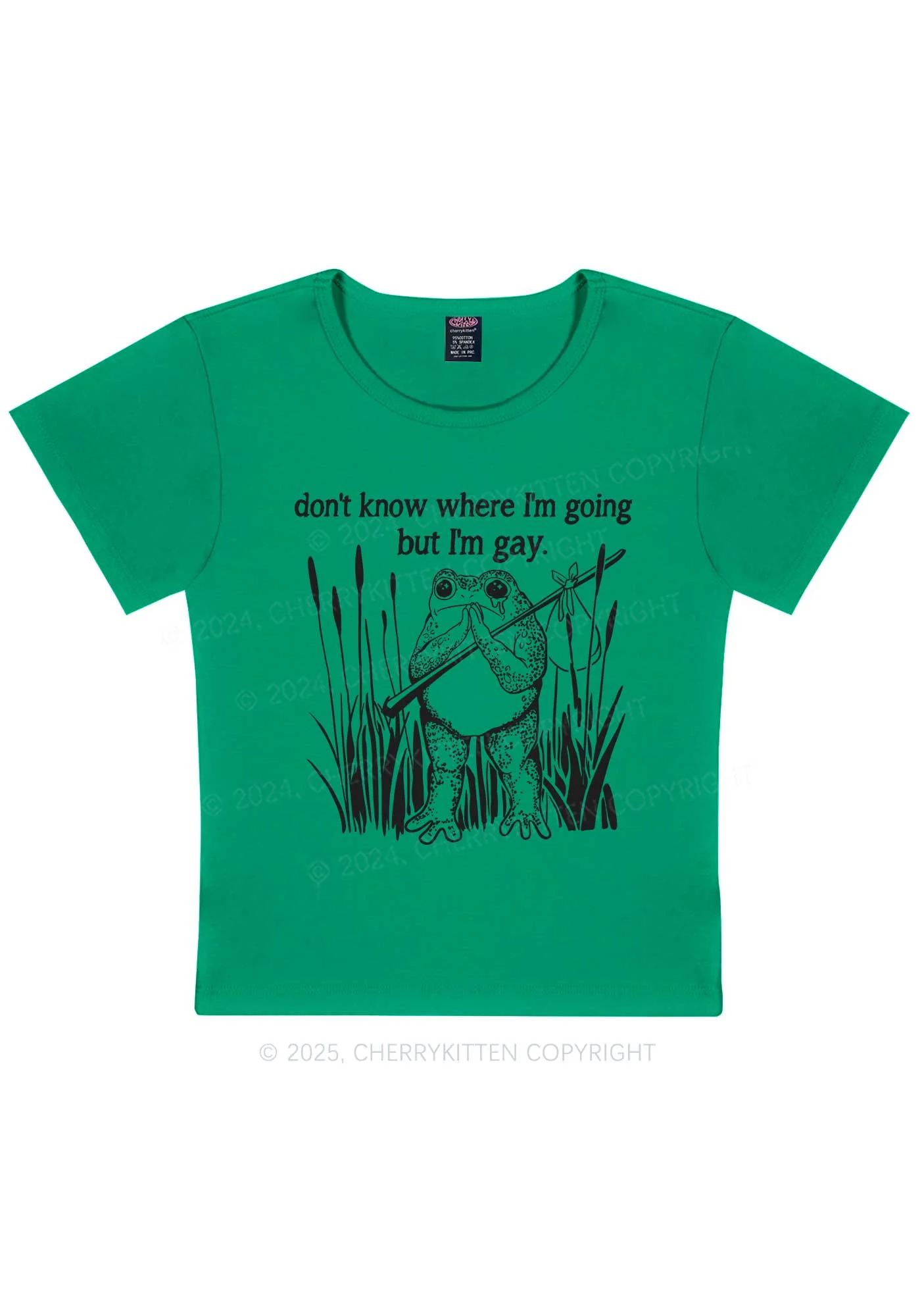 But I Am Gay Frog Pride Y2K Baby Tee Cherrykitten - Image 10