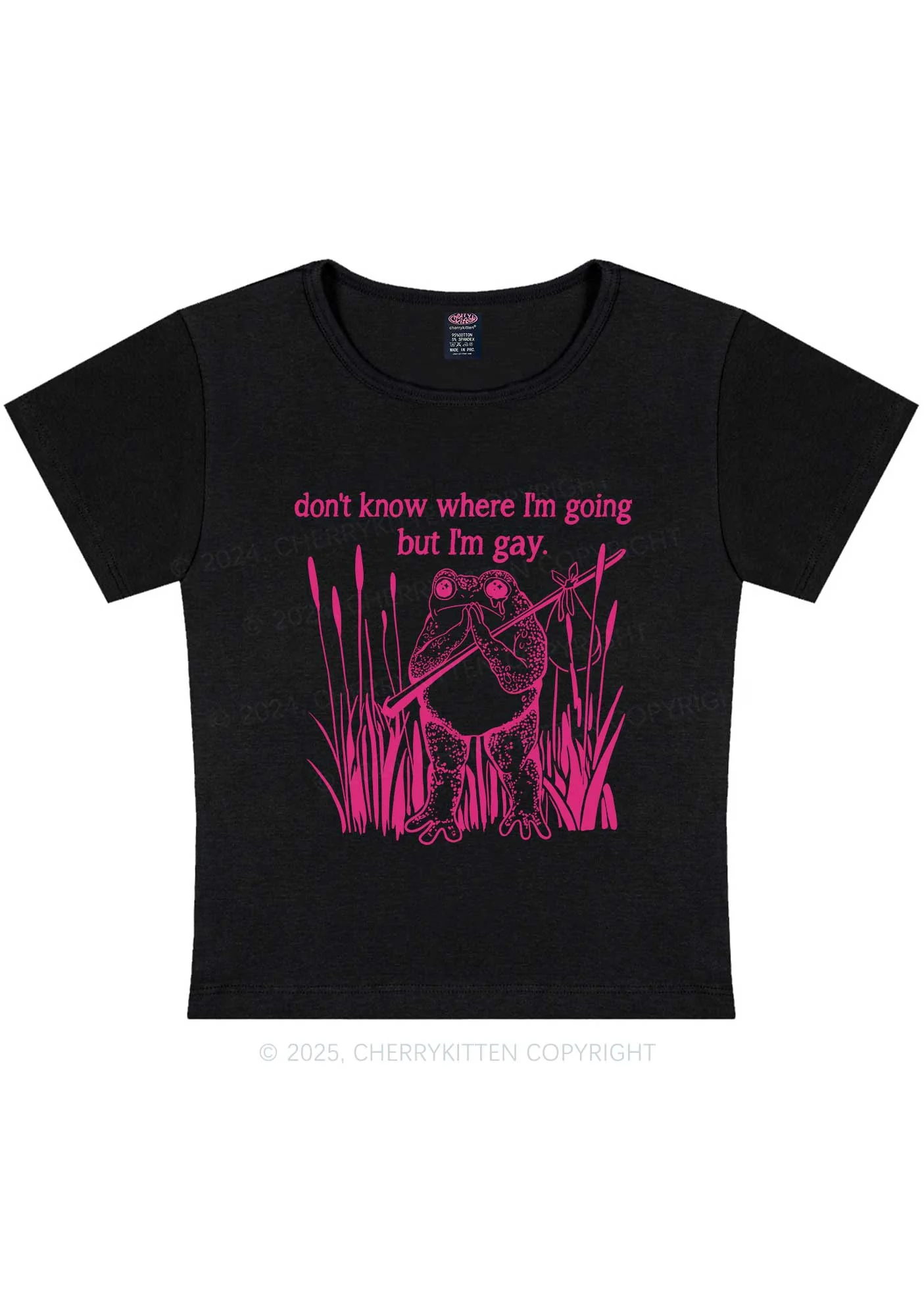 But I Am Gay Frog Pride Y2K Baby Tee Cherrykitten - Image 3