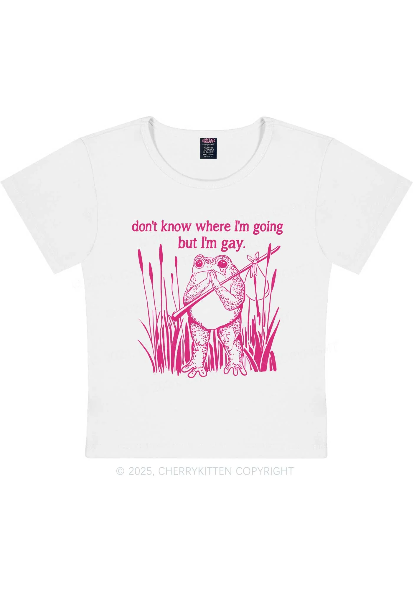 But I Am Gay Frog Pride Y2K Baby Tee Cherrykitten - Image 4