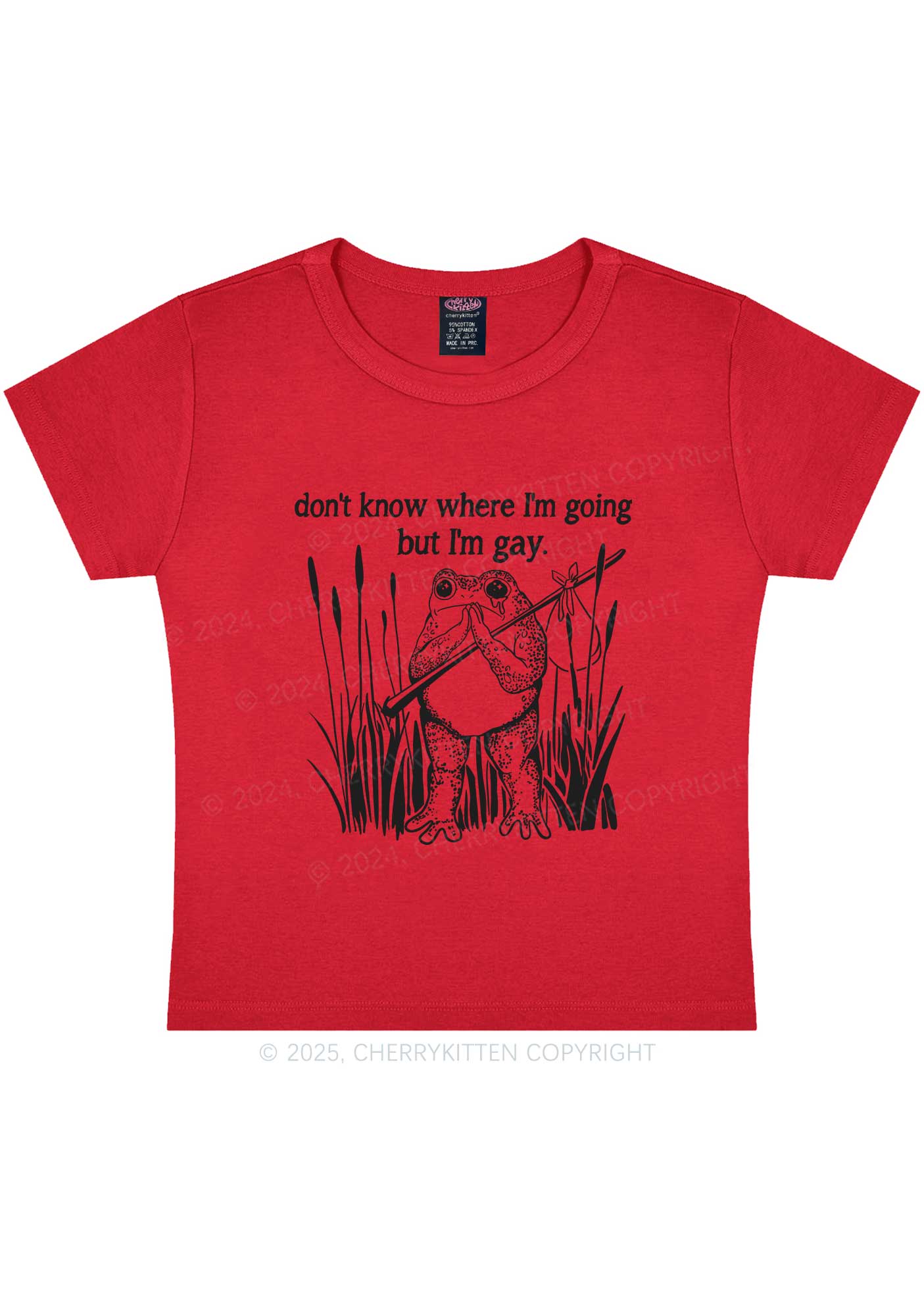 But I Am Gay Frog Pride Y2K Baby Tee Cherrykitten - Image 5