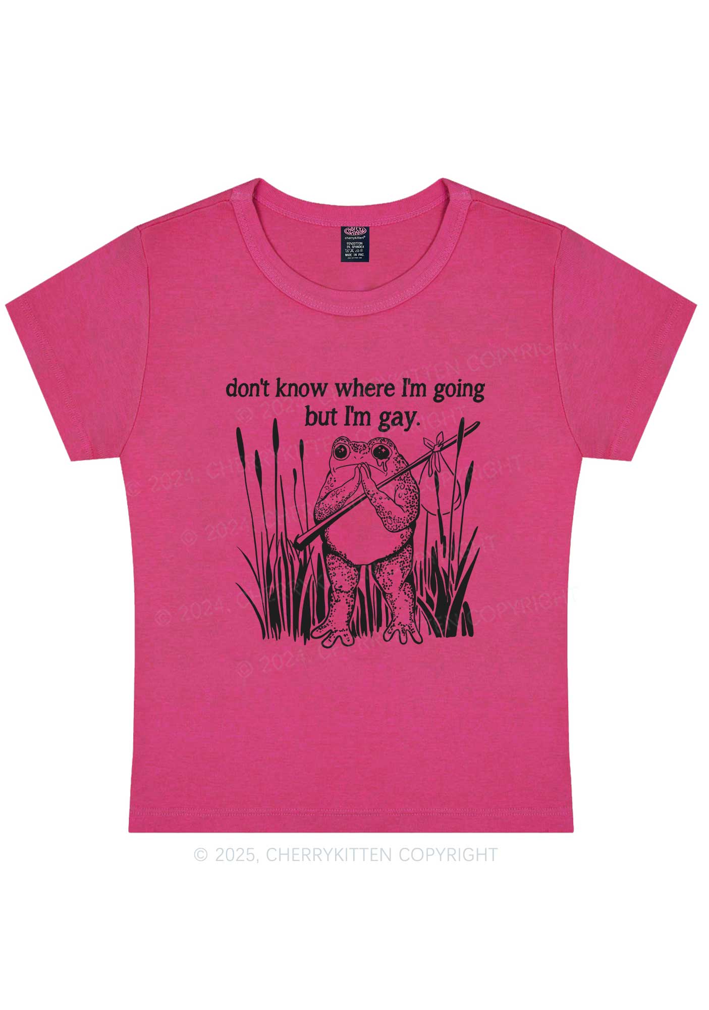 But I Am Gay Frog Pride Y2K Baby Tee Cherrykitten - Image 6