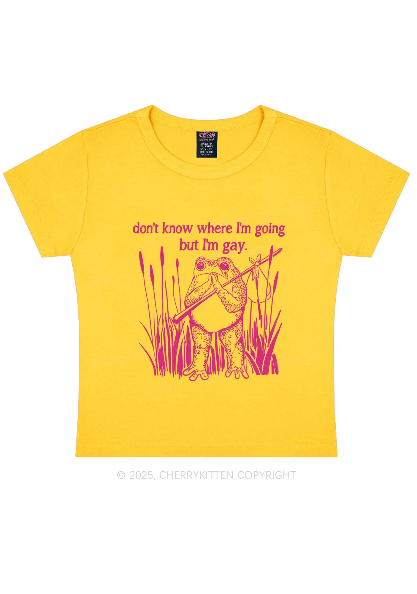 But I Am Gay Frog Pride Y2K Baby Tee Cherrykitten - Image 7