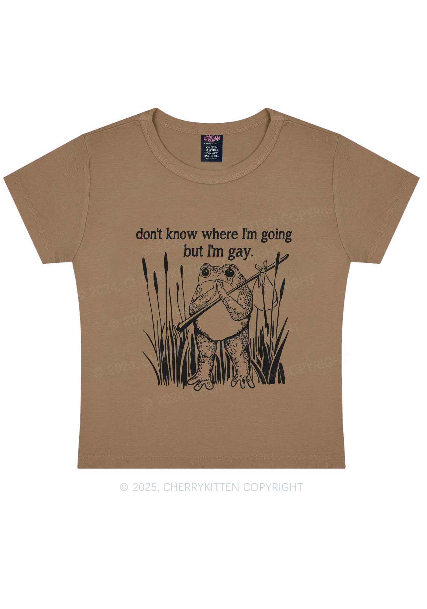 But I Am Gay Frog Pride Y2K Baby Tee Cherrykitten - Image 9
