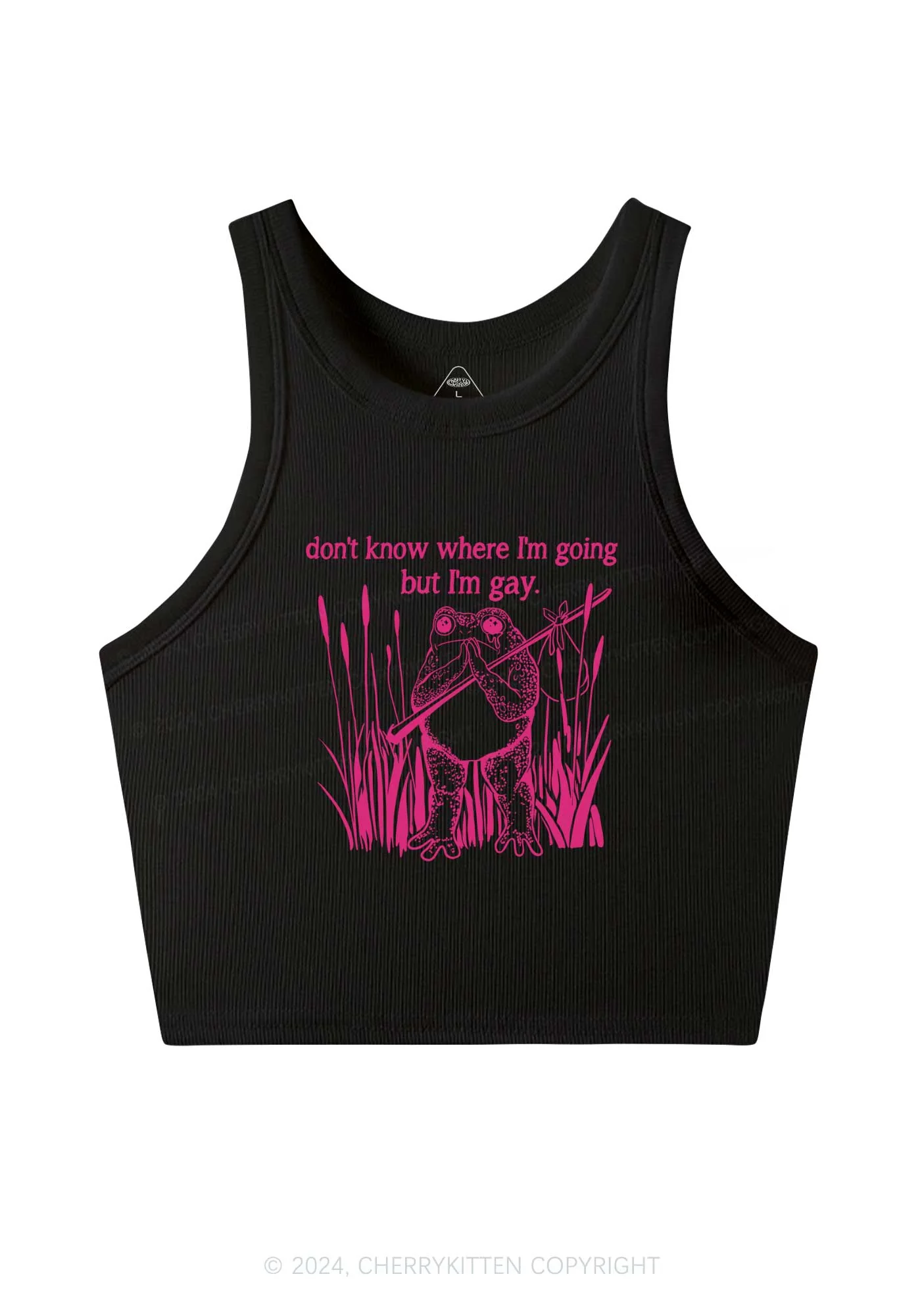 But I Am Gay Frog Pride Y2K Crop Tank Top Cherrykitten - Image 3