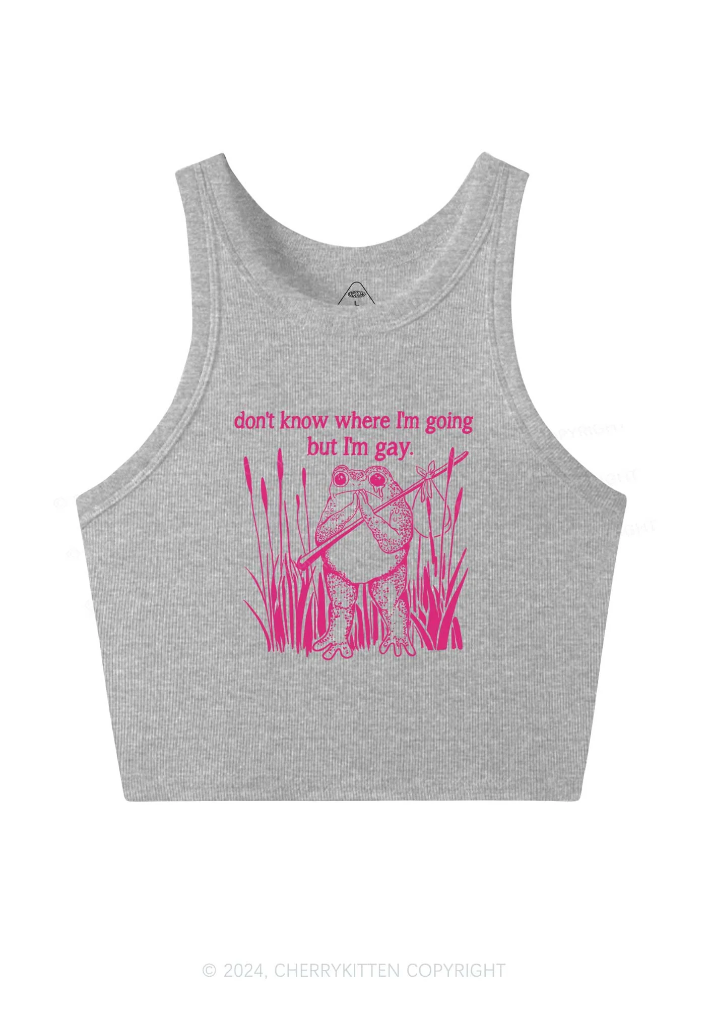 But I Am Gay Frog Pride Y2K Crop Tank Top Cherrykitten - Image 4