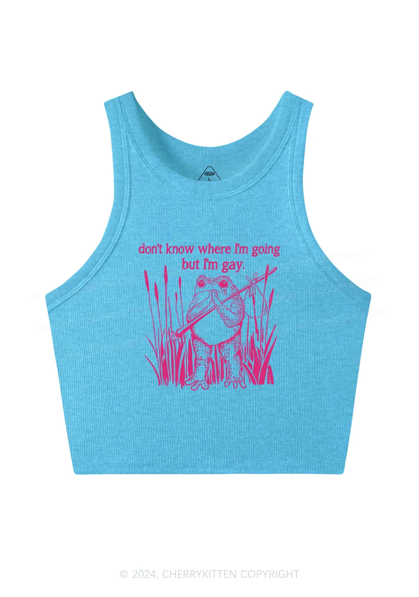 But I Am Gay Frog Pride Y2K Crop Tank Top Cherrykitten - Image 5