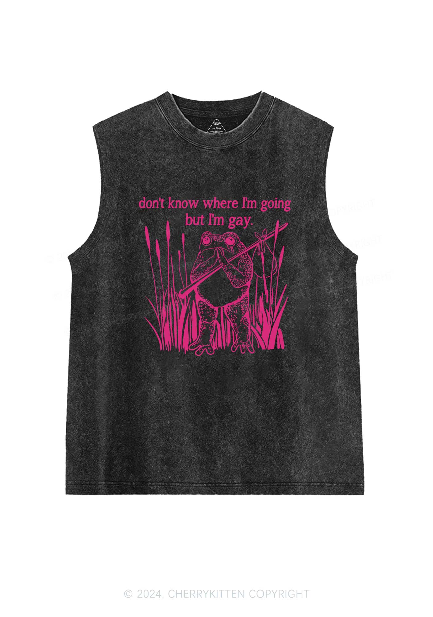 But I Am Gay Frog Pride Y2K Washed Tank Cherrykitten - Image 3