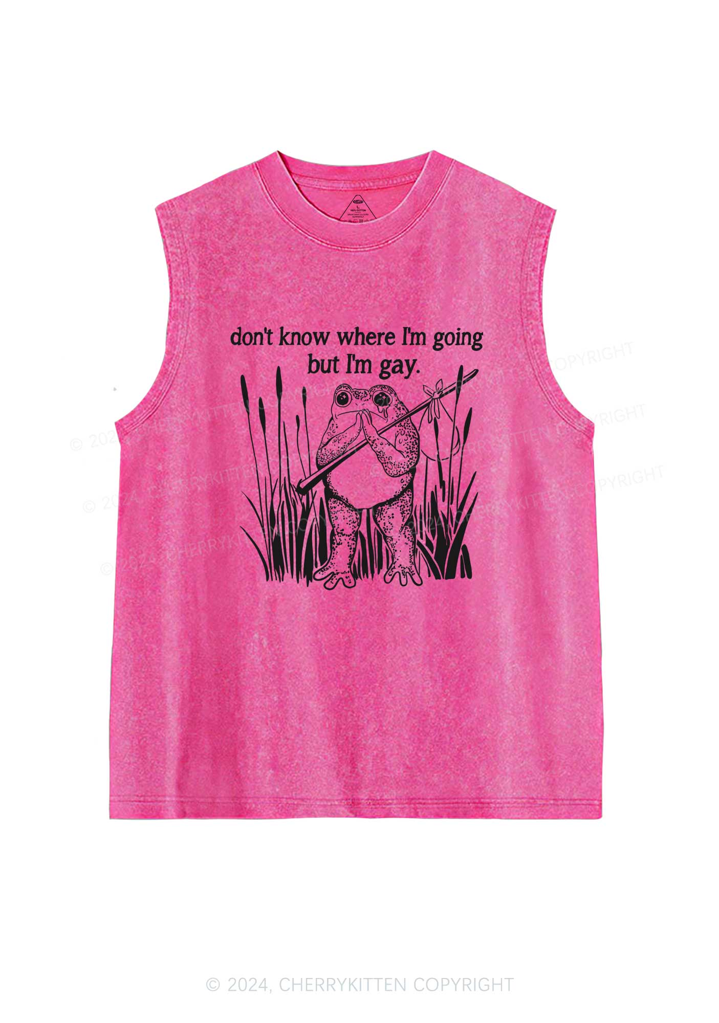 But I Am Gay Frog Pride Y2K Washed Tank Cherrykitten - Image 4