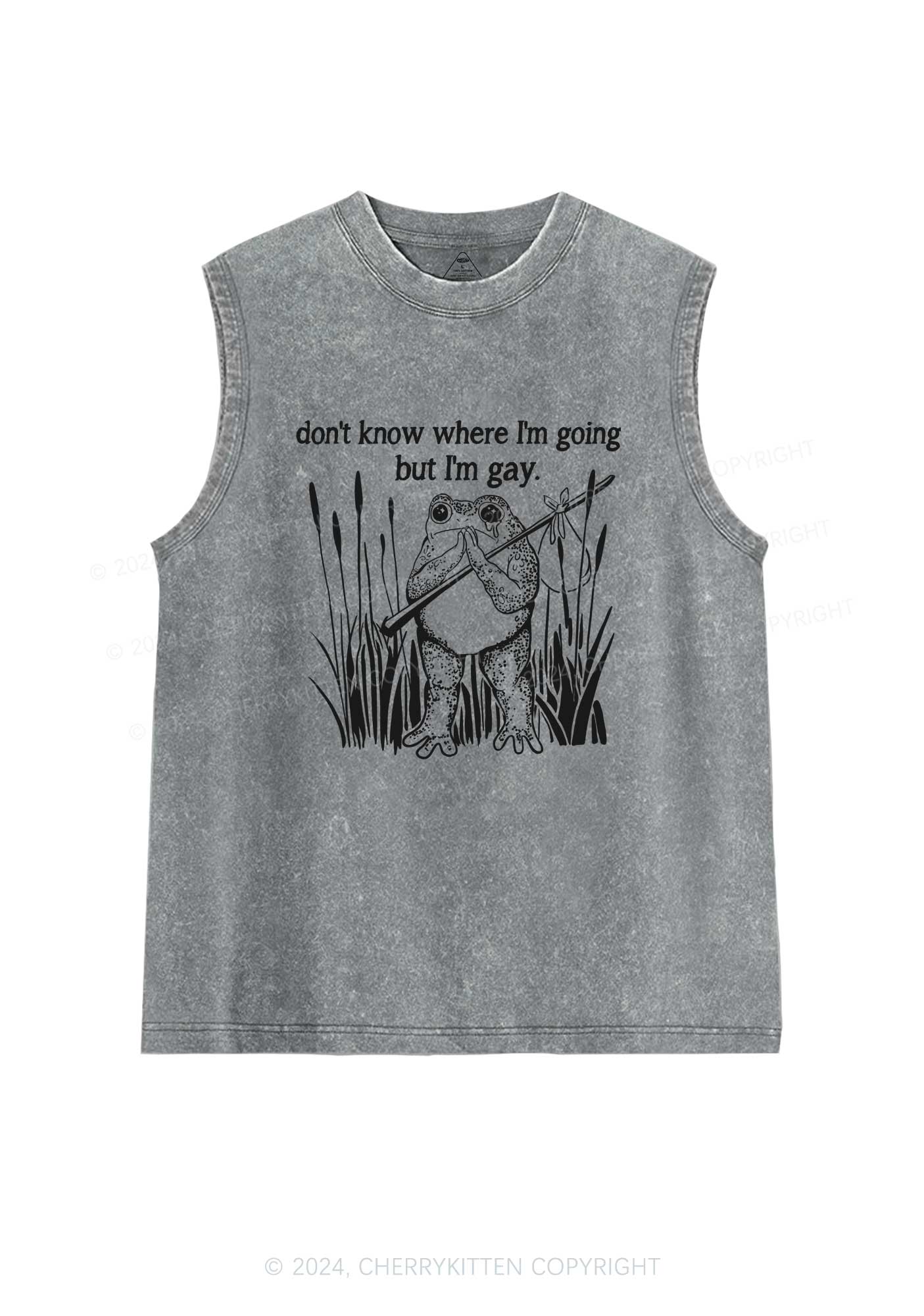 But I Am Gay Frog Pride Y2K Washed Tank Cherrykitten - Image 5