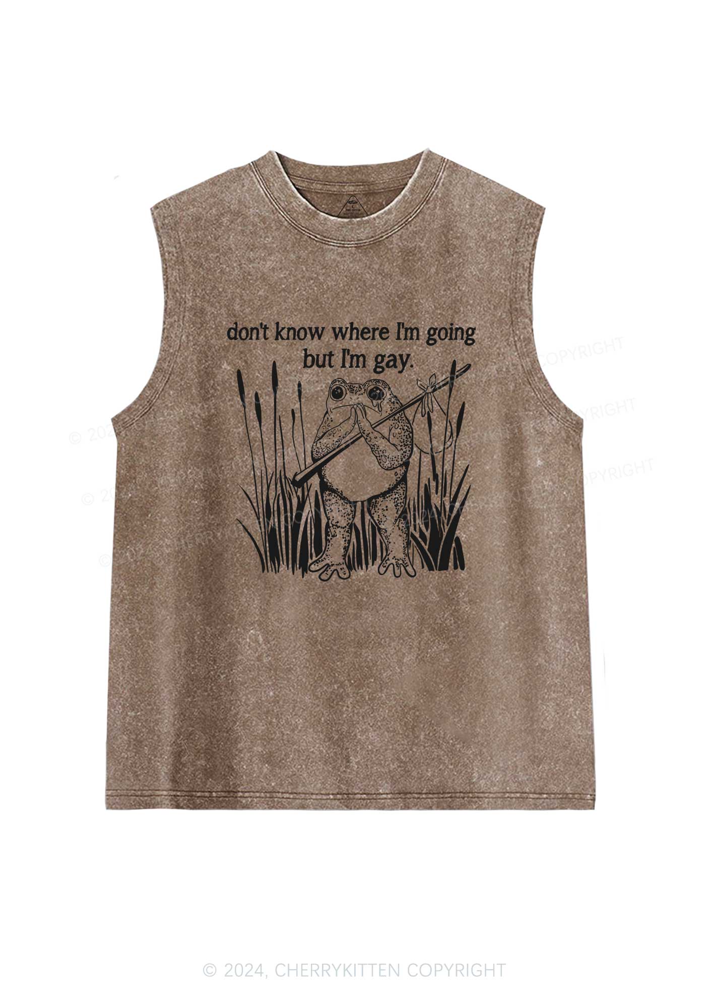 But I Am Gay Frog Pride Y2K Washed Tank Cherrykitten - Image 6
