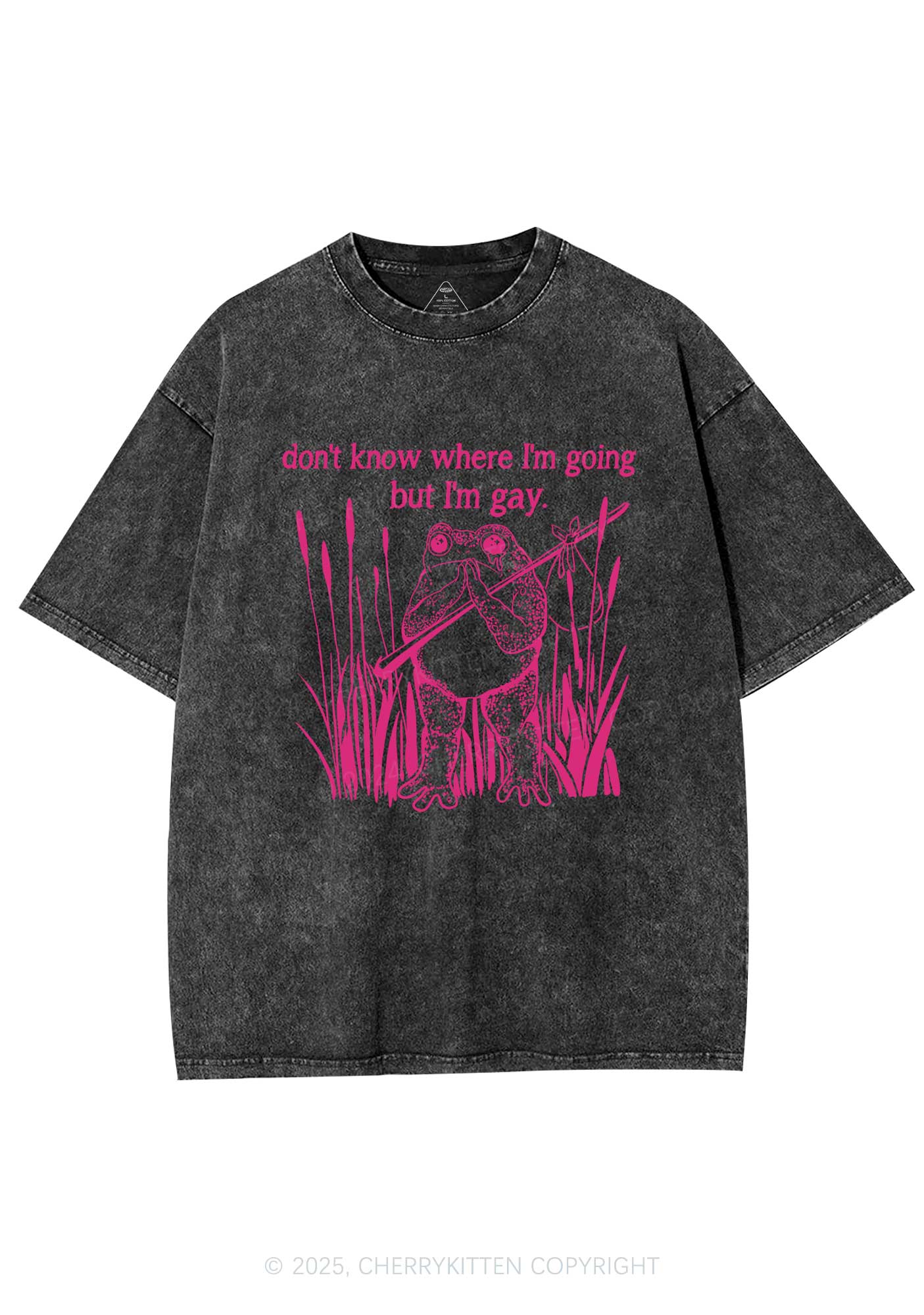 But I Am Gay Frog Pride Y2K Washed Tee Cherrykitten - Image 3