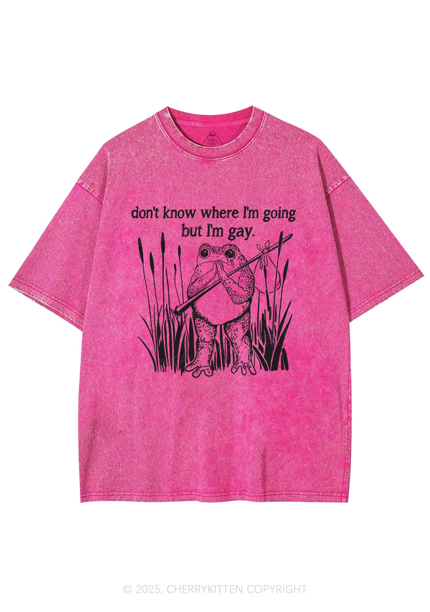 But I Am Gay Frog Pride Y2K Washed Tee Cherrykitten - Image 4