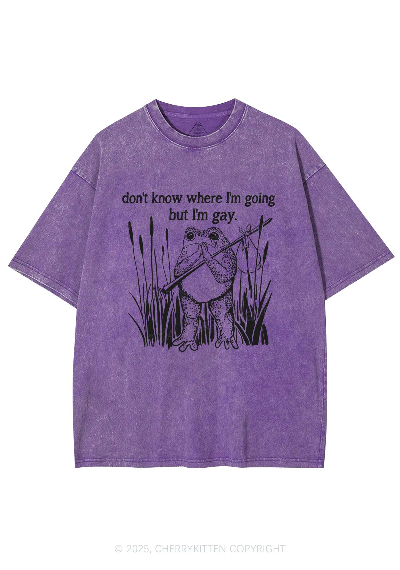 But I Am Gay Frog Pride Y2K Washed Tee Cherrykitten - Image 5