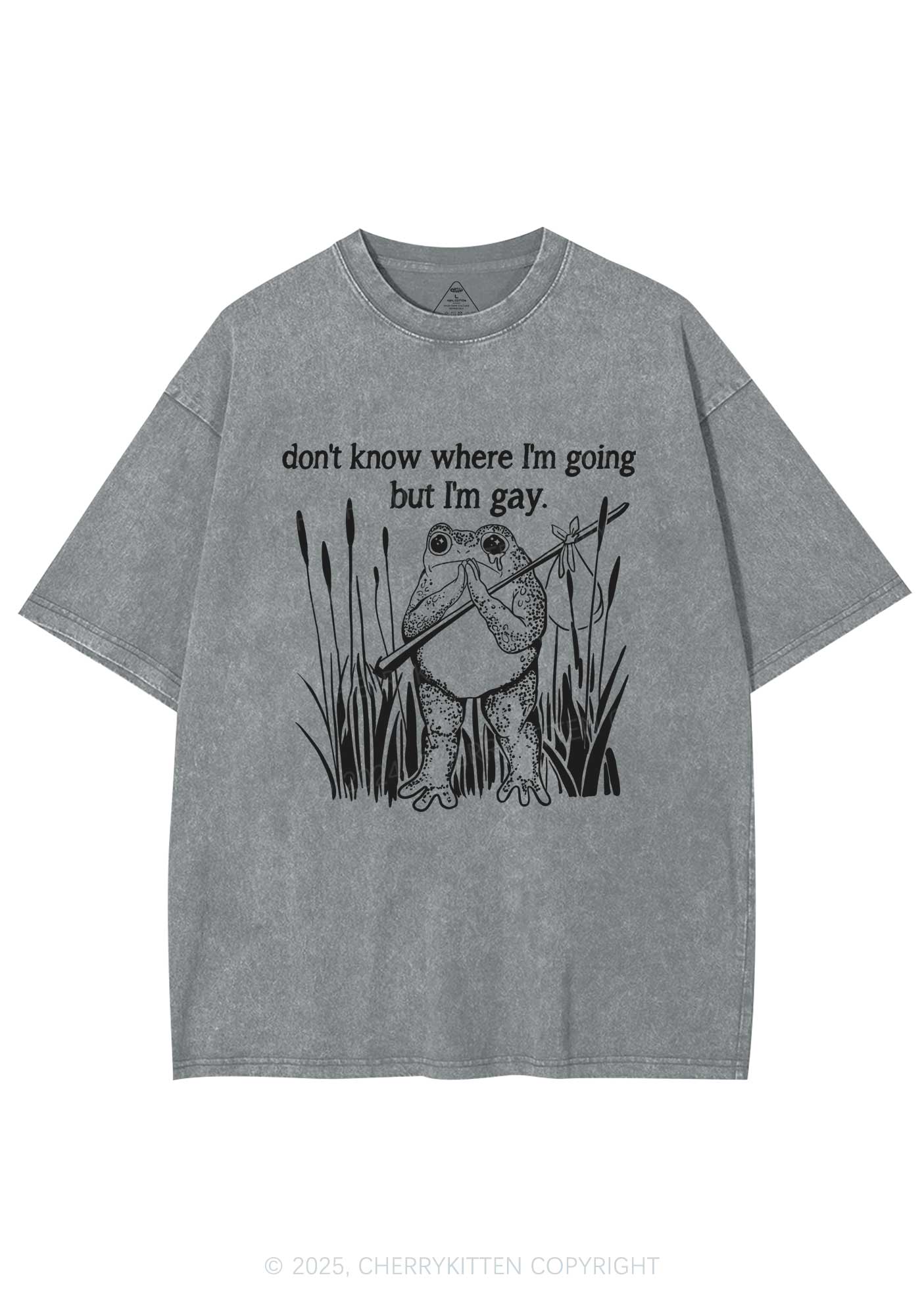 But I Am Gay Frog Pride Y2K Washed Tee Cherrykitten - Image 6