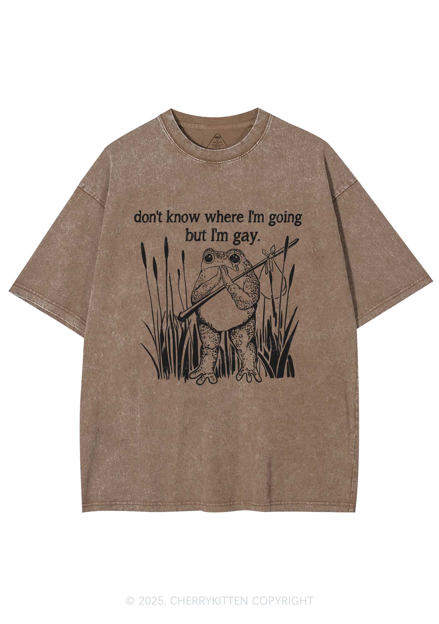 But I Am Gay Frog Pride Y2K Washed Tee Cherrykitten - Image 7