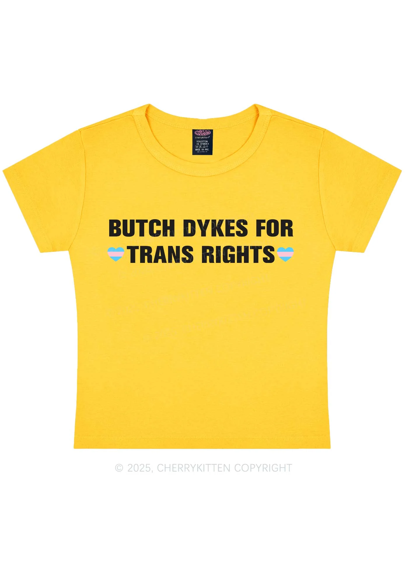 Butch Dykes For Trans Rights Y2K Baby Tee Cherrykitten - Image 5