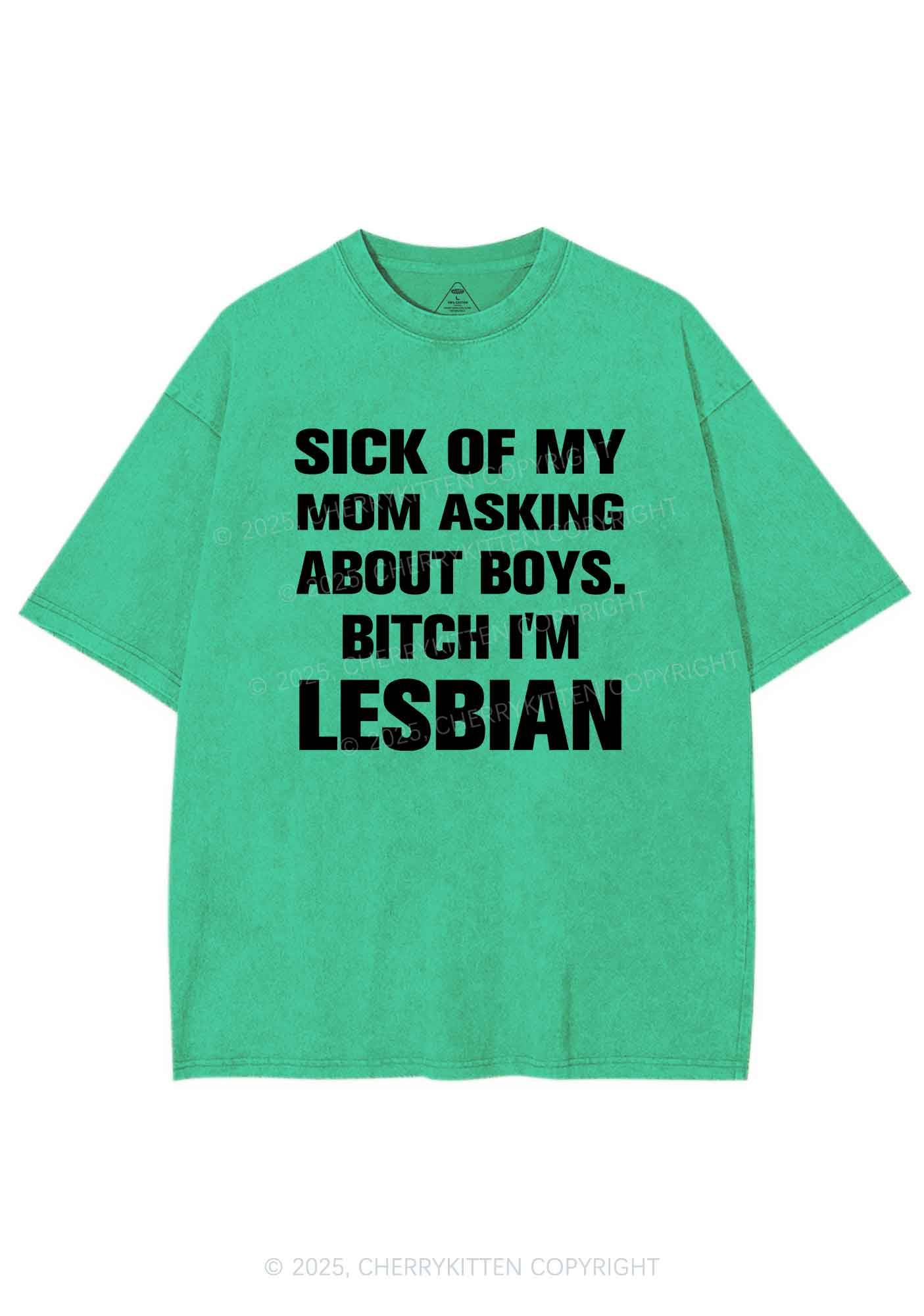 Bxxch Im Lesbian Pride Y2K Shirts Washed Tee Cherrykitten - Image 8