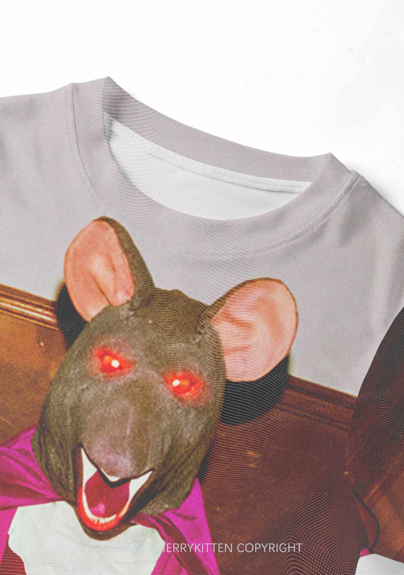 Caped Ratz Y2K Mesh Crop Top Cherrykitten - Image 4