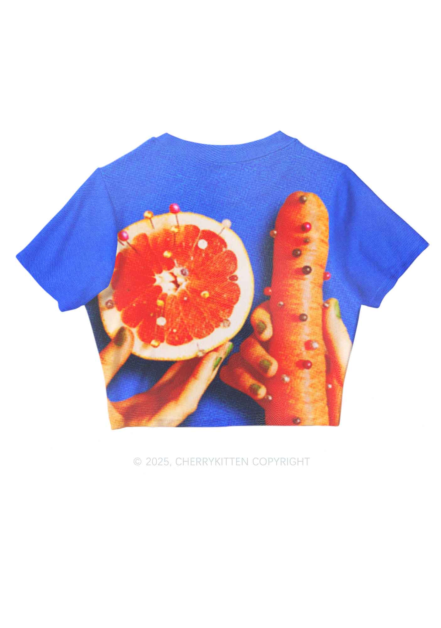 Carrots and Grapefruit Pride Y2K Mesh Crop Top Cherrykitten - Image 3